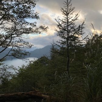 木々の間から再び中禅寺湖が見えた。夕暮れが近づいてきた🌿