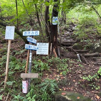 今日は昨日より少し速く歩けました🚶‍♀️山頂まで行けそうだけど、今日は欲張らず帰ります😊
