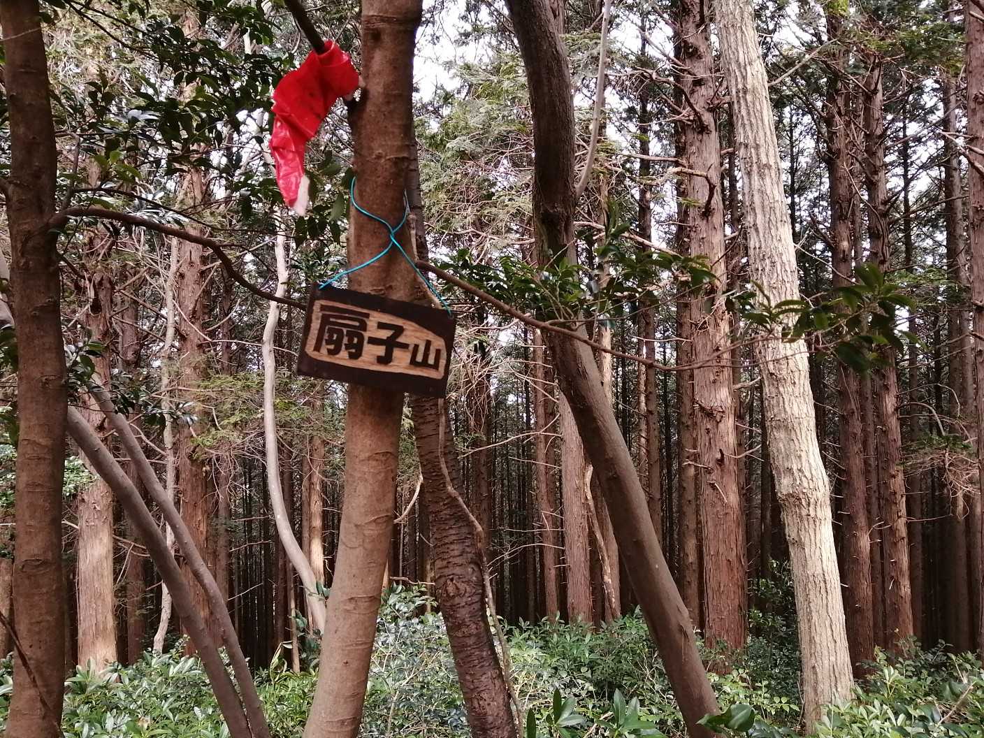 はい❗扇子山⛰️
眺望は無しですが、先へ進み下山すると滝があるらしいです😁

小ネタ！
扇子山は徳川家康が、まだ若い時(徳川平定)に、ここに陣を張って扇子山と名付けたらしいです。