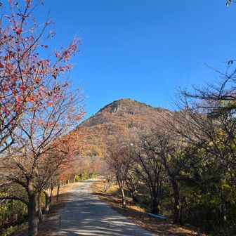 稲積山へ行ってきま～す