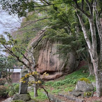 岩が何か食べてるみたい