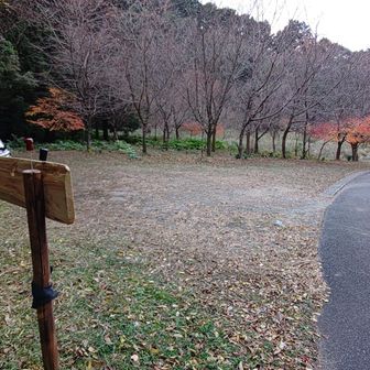 駐車場に戻ってきました