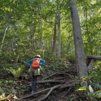 さあ、裏三角山の急登登ります。