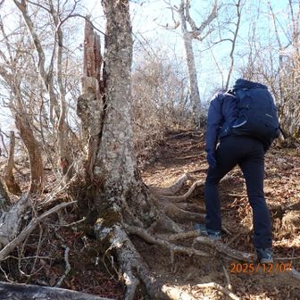 もう少しで清八山頂上