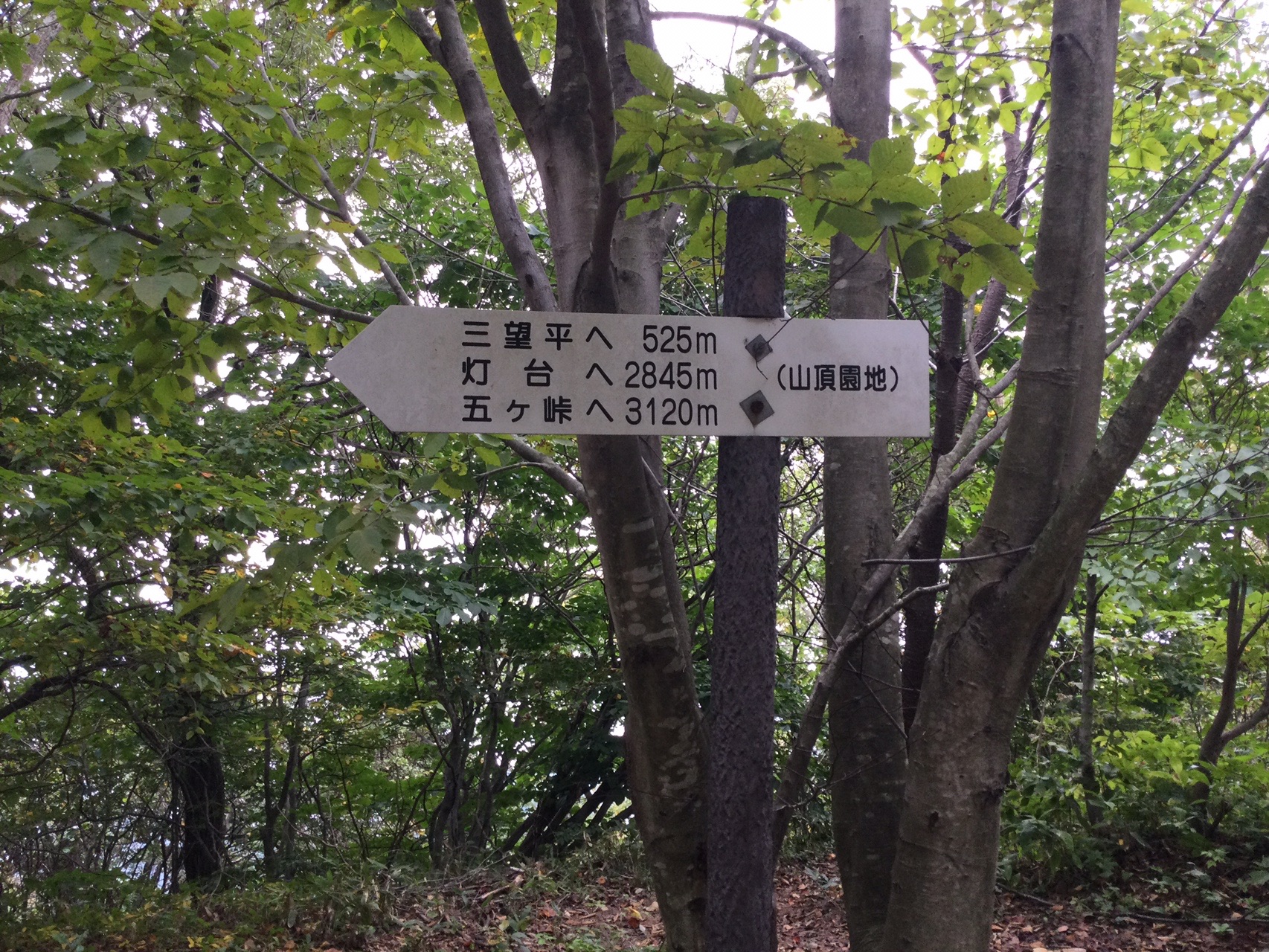 角田山 五ヶ峠コース 2020 10 03 パッピィさんの角田山の活動データ Yamap ヤマップ