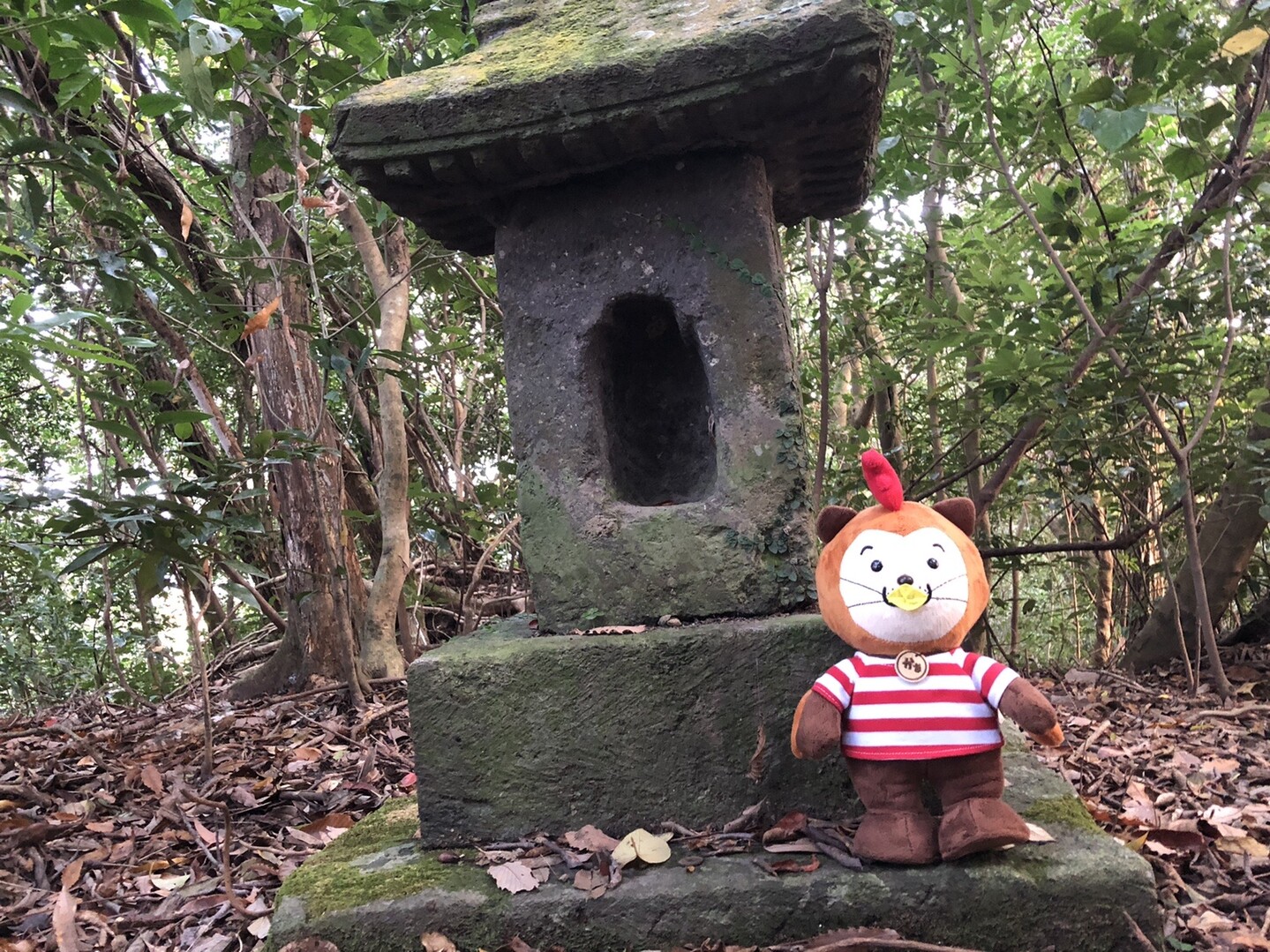 角野愛宕山でアスレチックなヤブこぎしてきたぜ 鹿屋 肝付遠征登山 Vol 1 Roughtice ラフティス さんの鹿屋市 南エリアの活動日記 Yamap ヤマップ