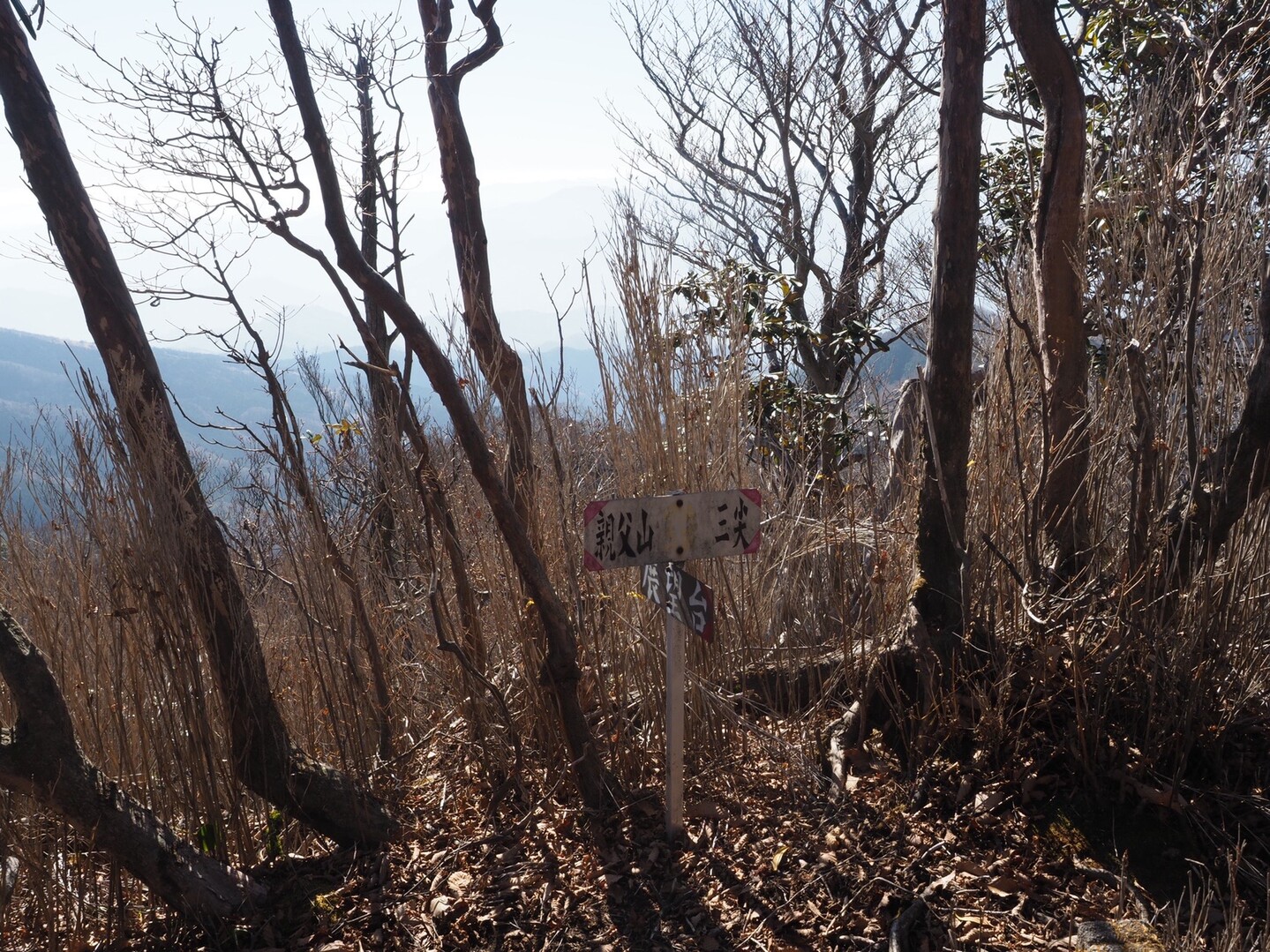 親父山 障子岳 黒岳 三尖 祖母山の写真31枚目 Yamap ヤマップ