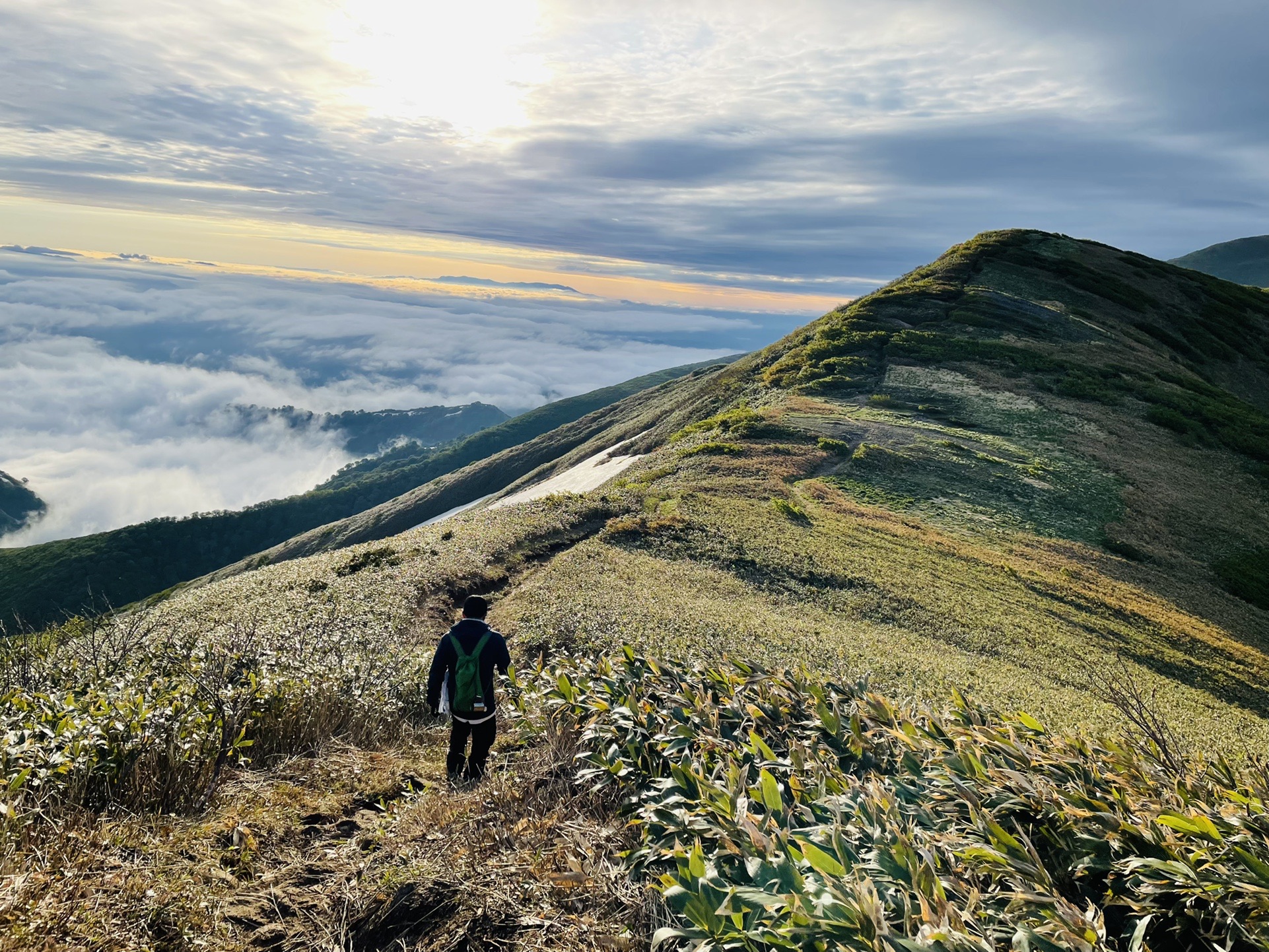 あ〜〜〜縦走路大好き！＼(^o^)／