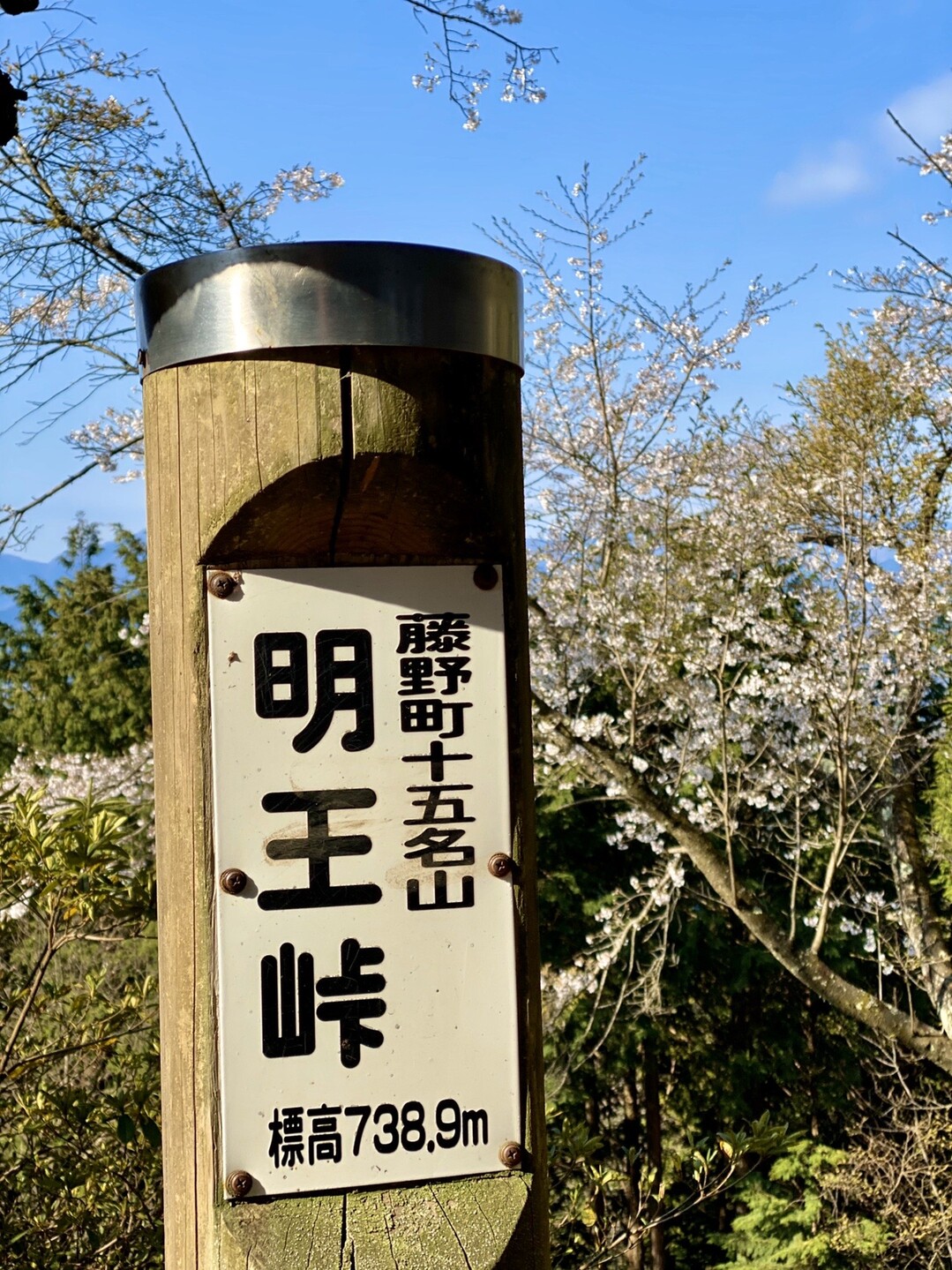 陣馬山 景信山 高尾山 陣馬山 景信山の写真25枚目 カッコいい名前だな Yamap ヤマップ