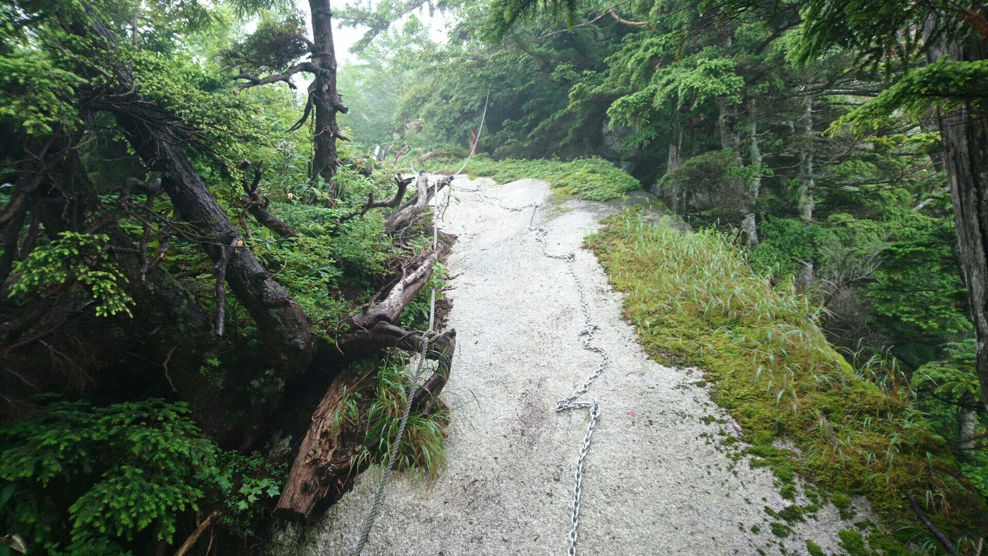 剱岳 / 剱岳の写真14枚目 / 鎖 YAMAP / ヤマップ