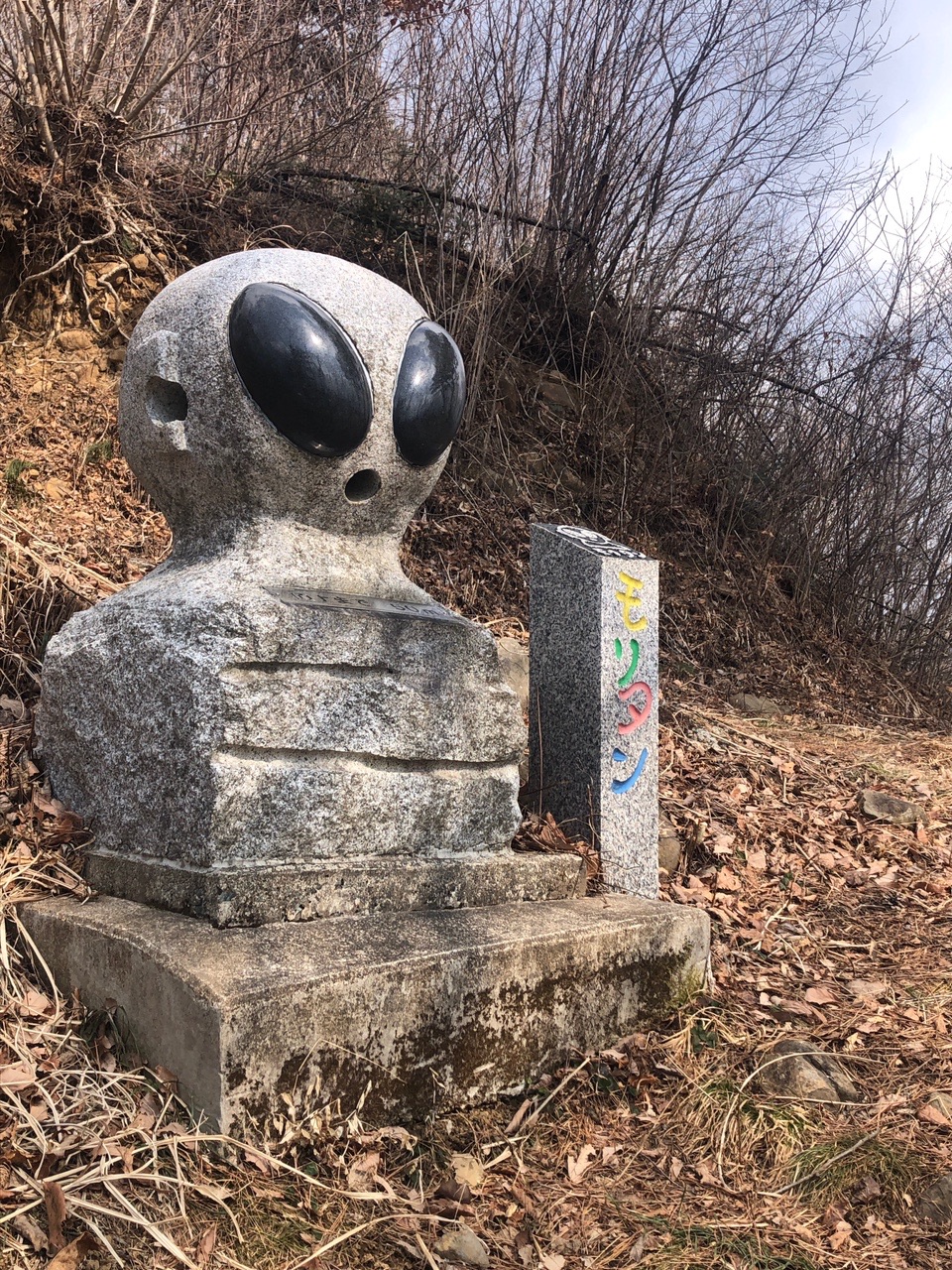 可愛い宇宙人が待つ千貫森へ Afterは鬼婆の出刃ーグカレー Mochaさんの女神山 福島県 の活動データ Yamap ヤマップ