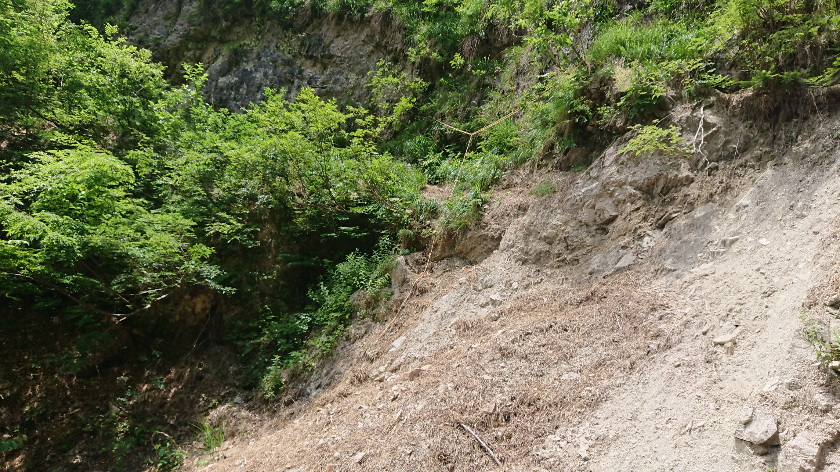 日本平山・鍋倉山 結果こういうことに
左側縛ってますが右手は巻いてるだけです