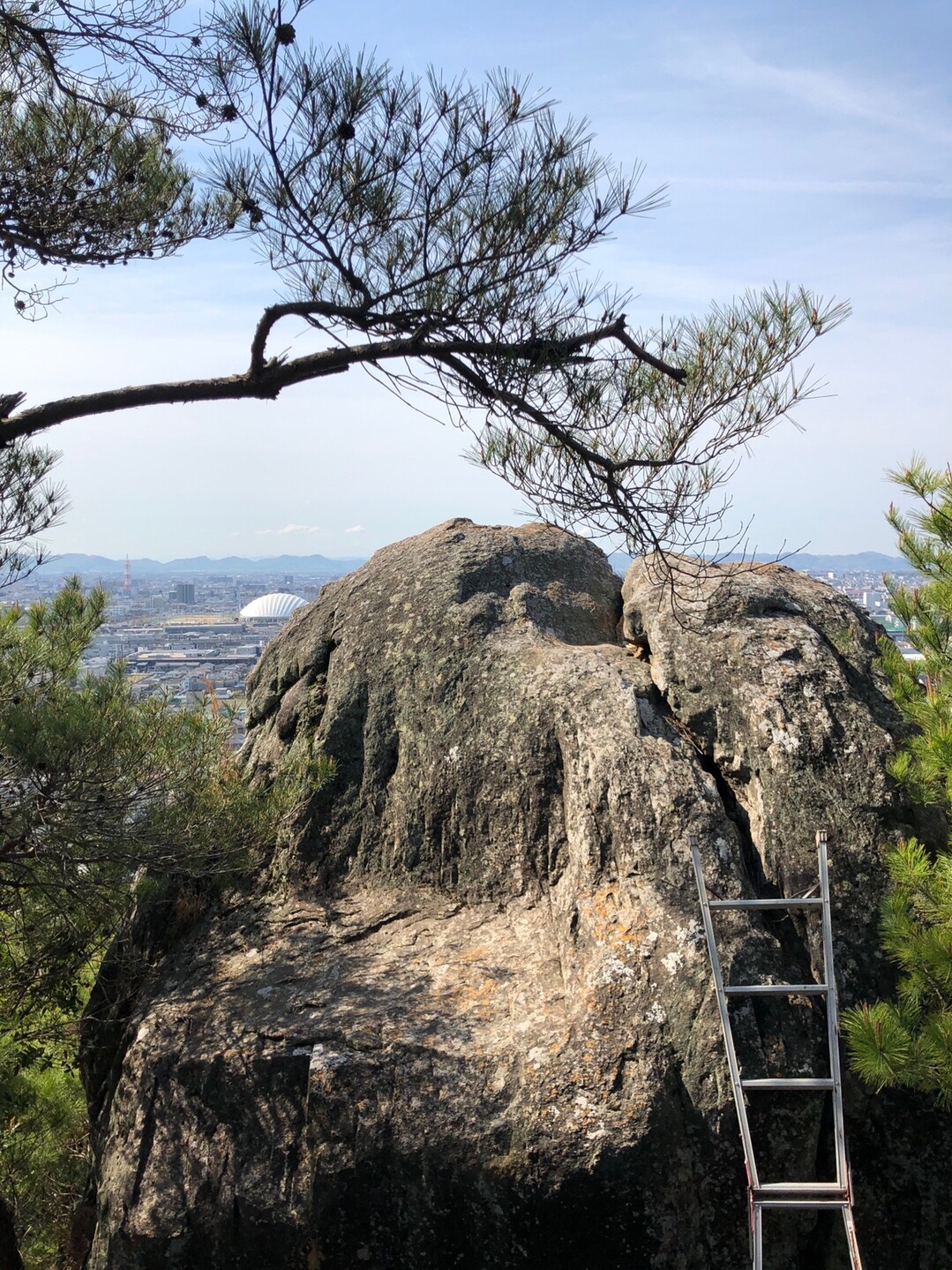 魚見山ロックガーデン 4 11 りゅうりゅうさんの岡山市 北区の活動日記 Yamap ヤマップ