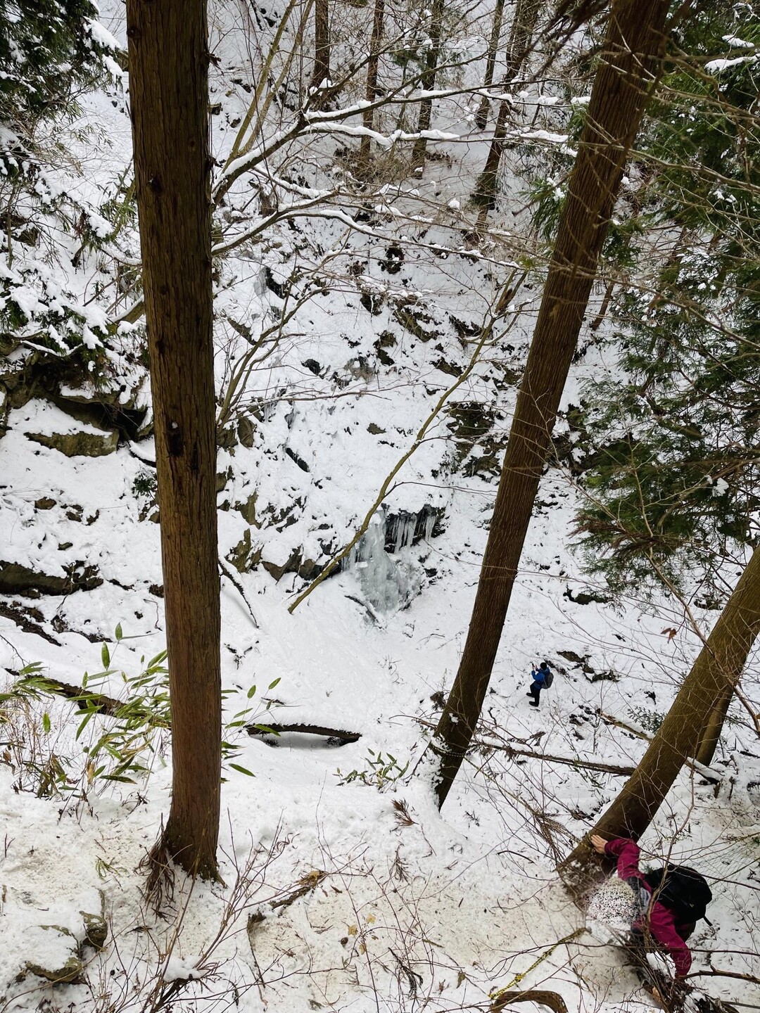 金剛山⛄️…⤴️ツツジオ谷(氷瀑)⤵️念仏坂〜湧出岳(第二十一経塚)の写真