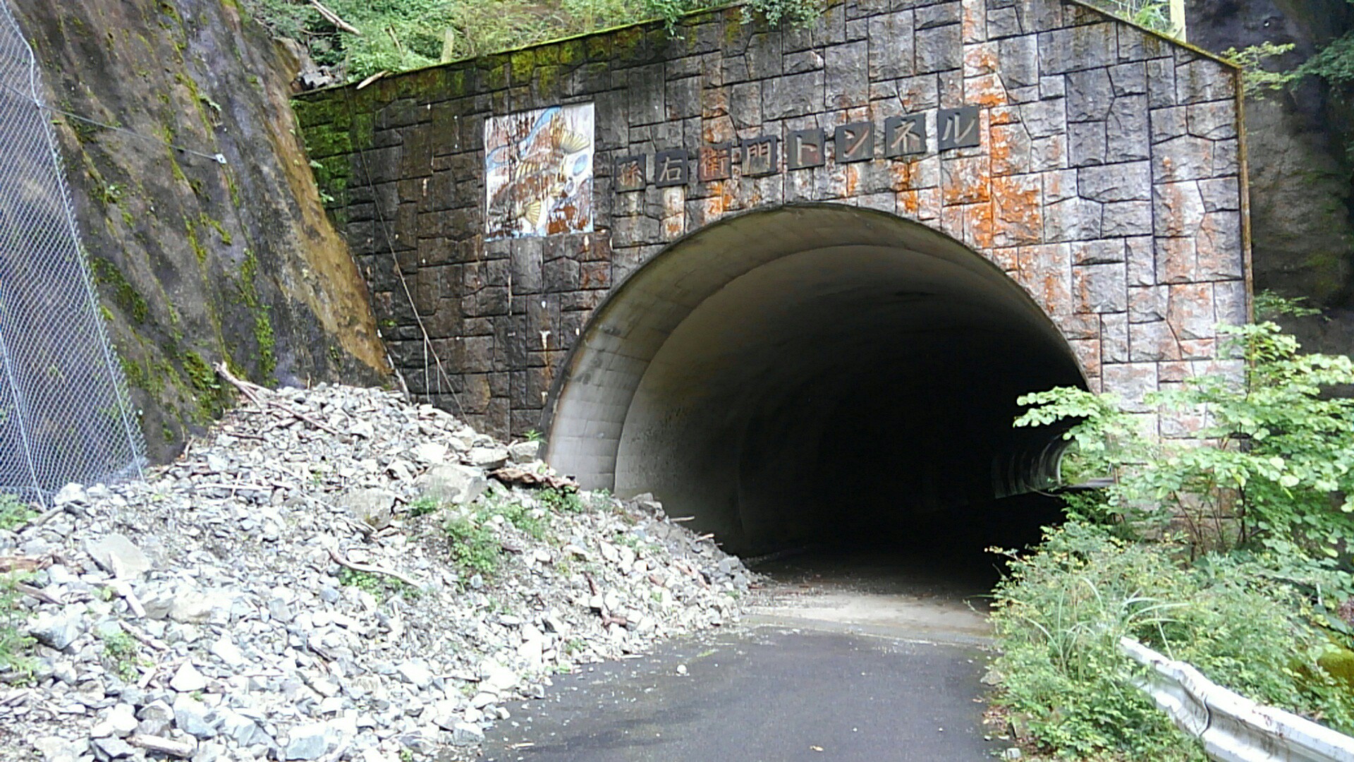 犬越路隧道 すみちゃんさんの丹沢山の活動データ Yamap ヤマップ
