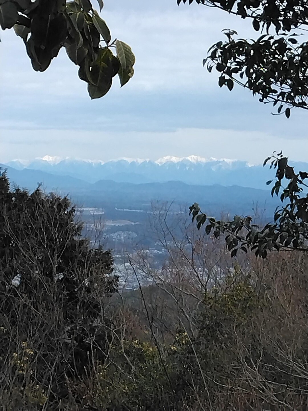 (241)弥勒山10(AMピストンハイキング🚶) / Kazz1950さんの春日井三山・弥勒山・大谷山・道樹山の活動データ YAMAP