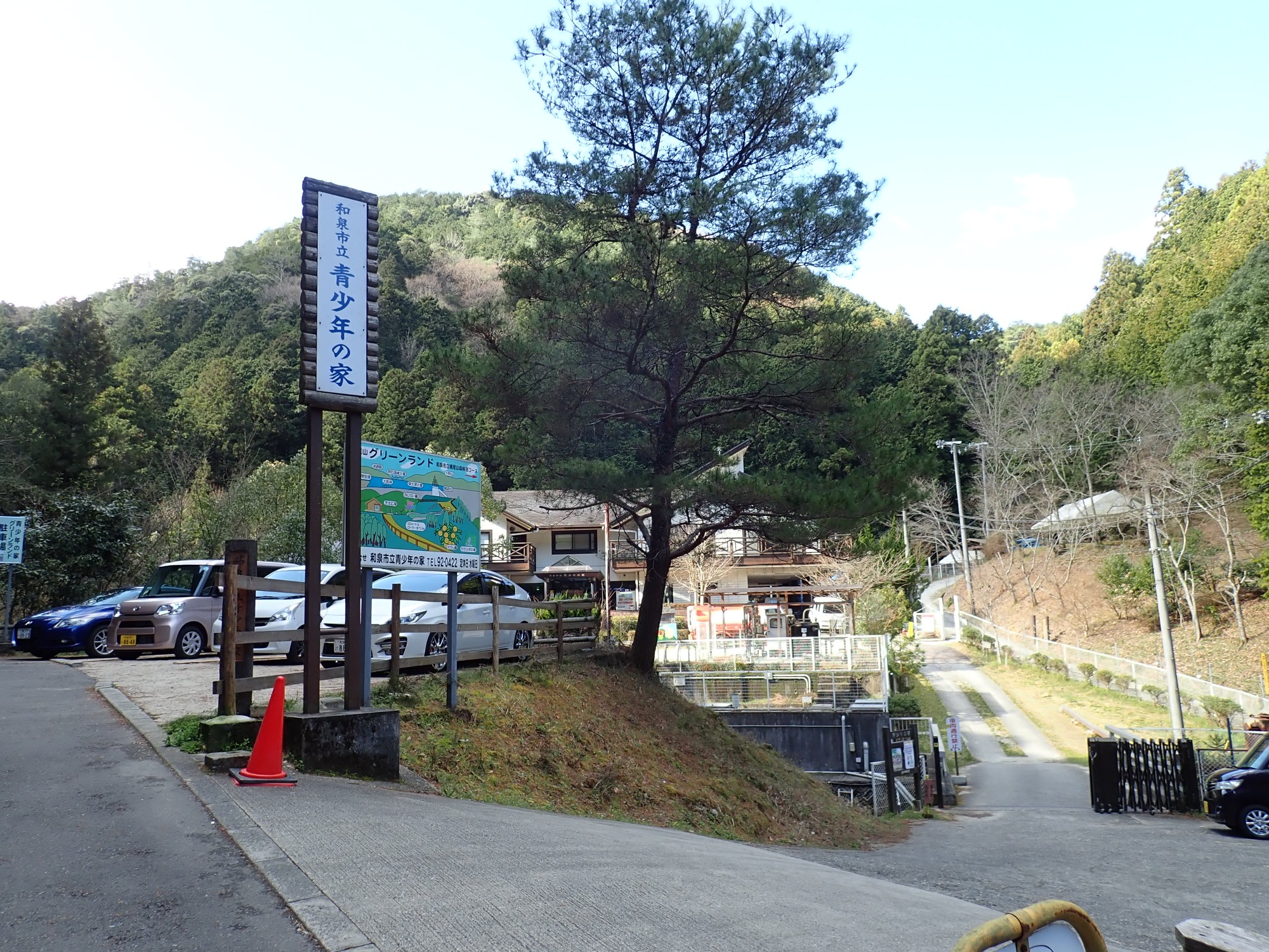 槇尾山麓に春の妖精舞う4-2020-03-20 / Yoichi Onishiさんの槇尾山 