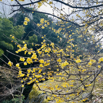 岩湧山・一徳防山・三石山 石垣に合うわ〜
