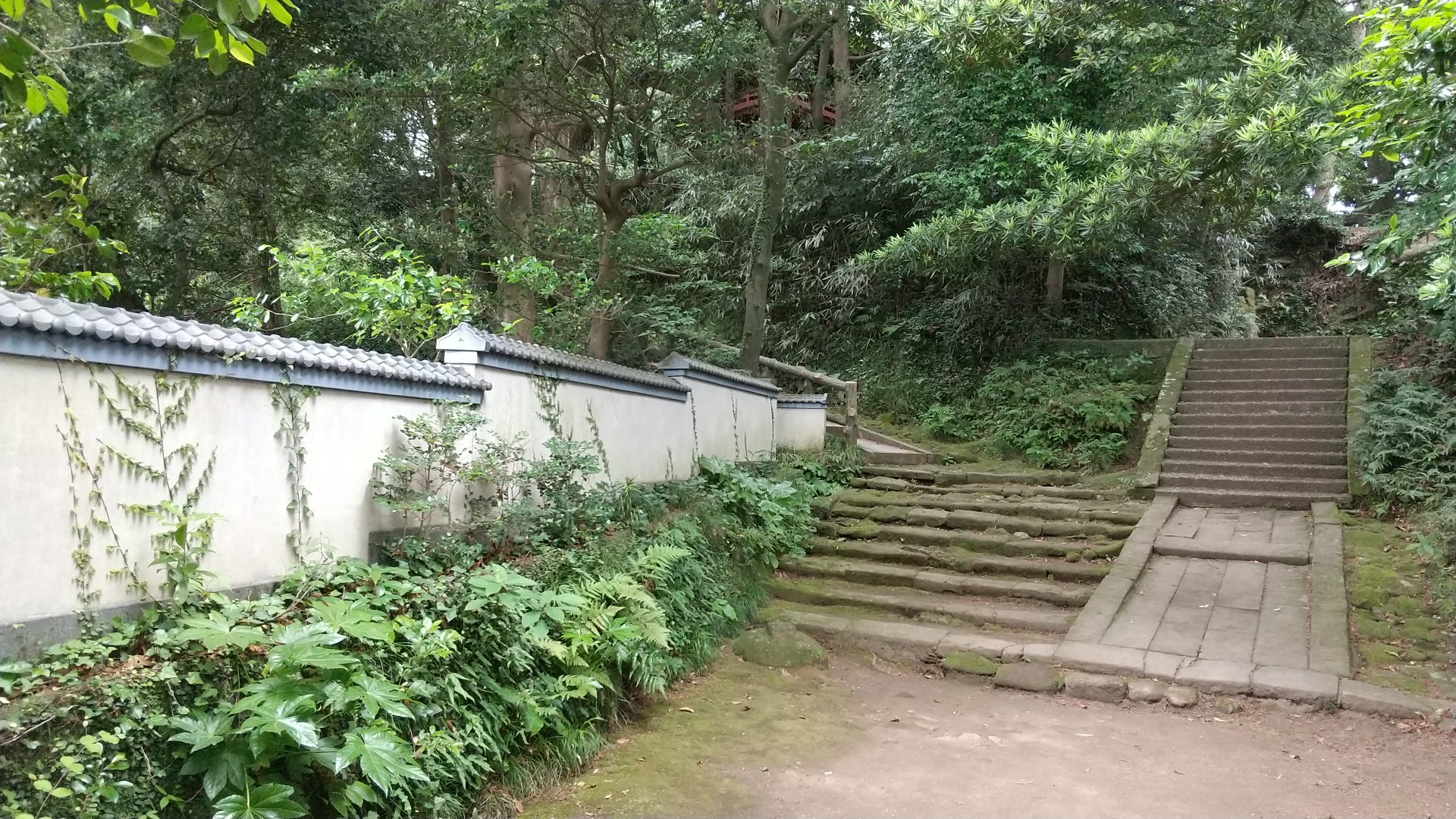 鷹取山 06 18 キャサリンさんの鷹取山 横須賀市 逗子市 の活動日記 Yamap ヤマップ