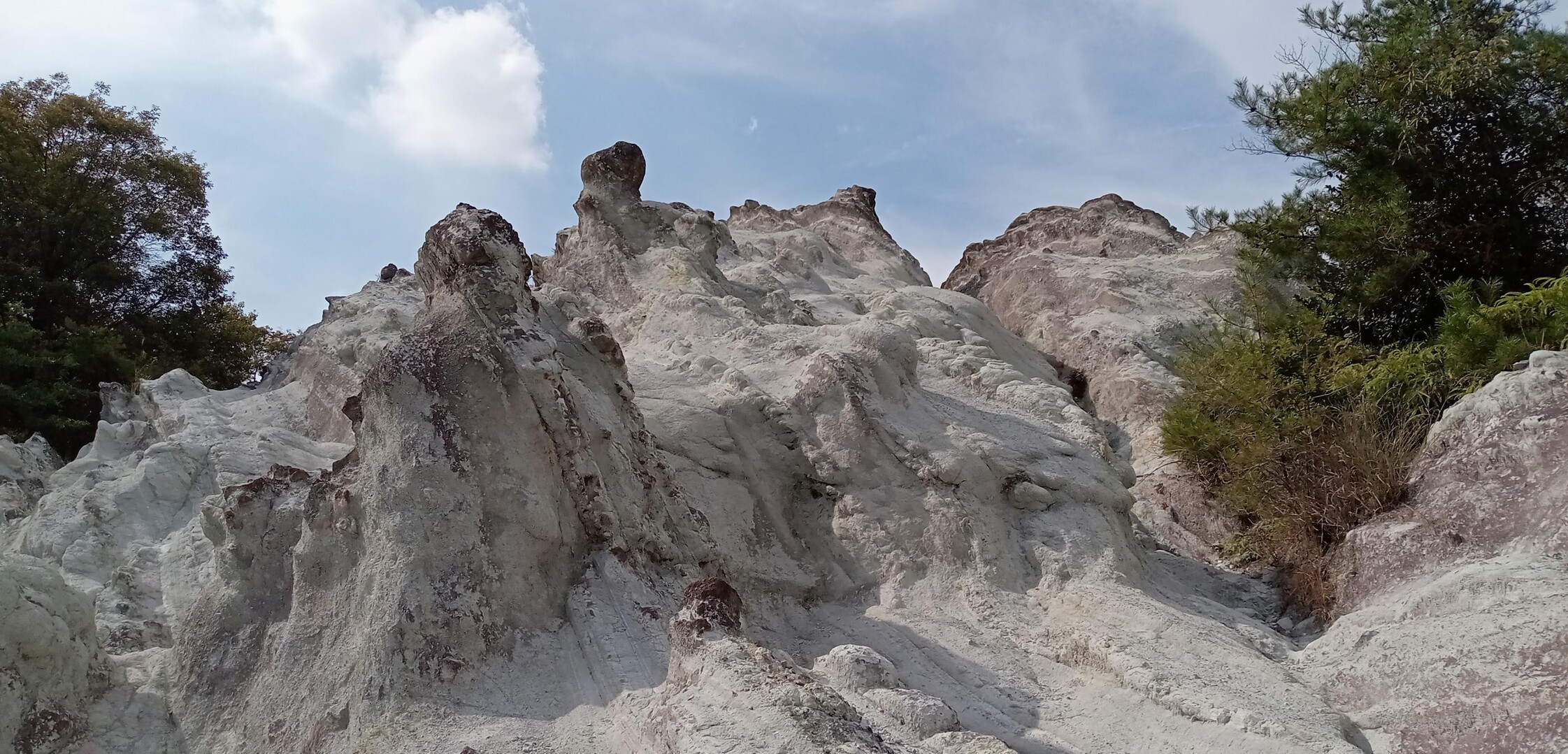 屯鶴峯（どんづるぼう） / 誠さんの金剛山・二上山・大和葛城山の活動データ YAMAP / ヤマップ