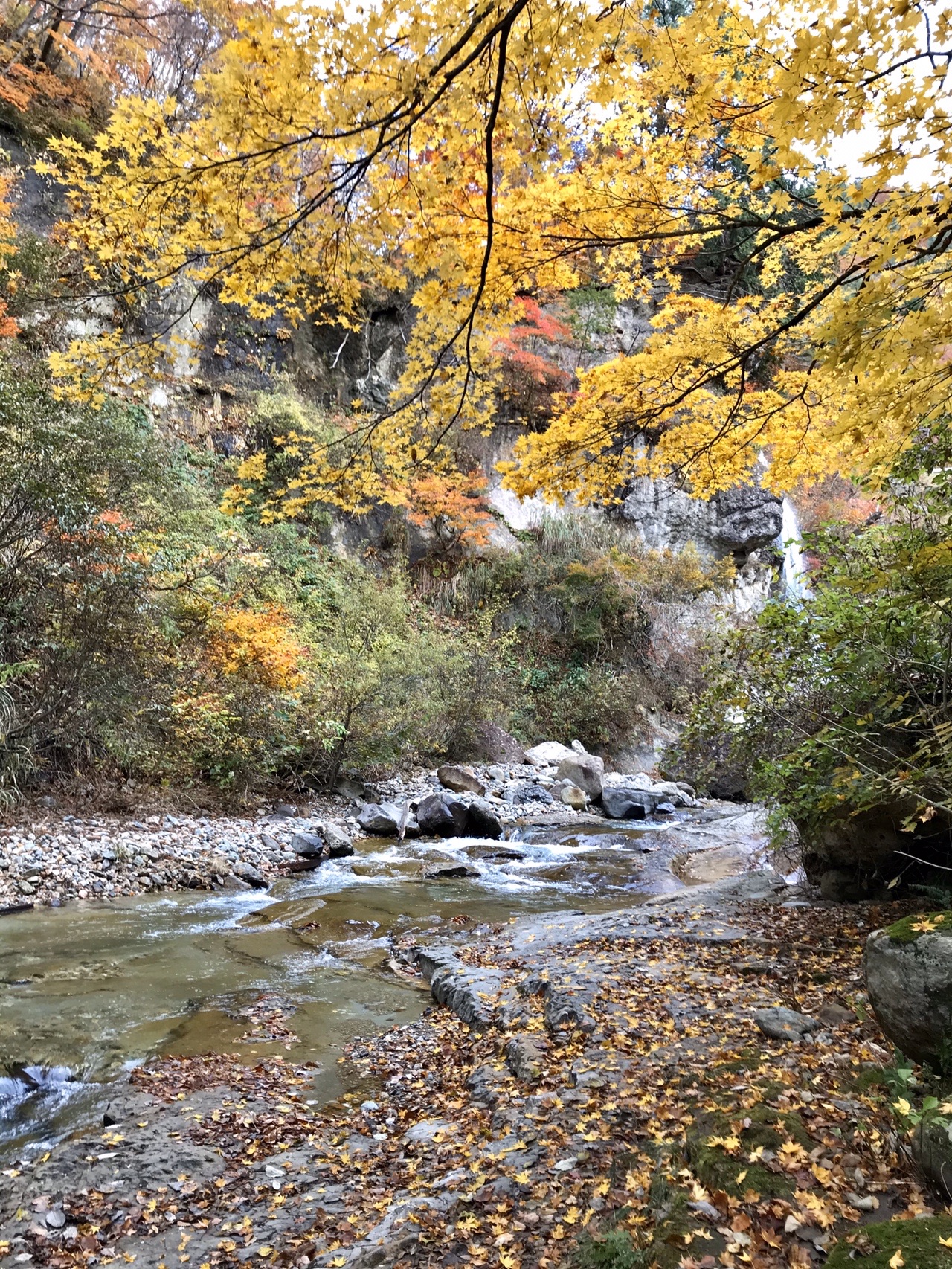 面白山紅葉川渓谷 山寺 19 11 10 まるさんの面白山 神室岳 雨呼山の活動データ Yamap ヤマップ