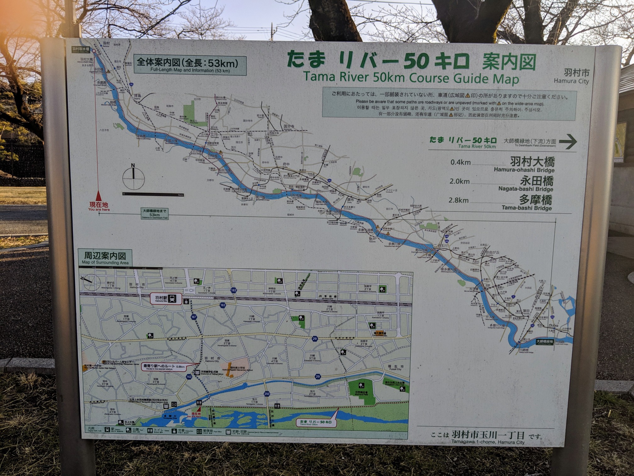 たまリバー50キロウォーク 19 03 02 7010さんの羽村市の活動日記 Yamap ヤマップ