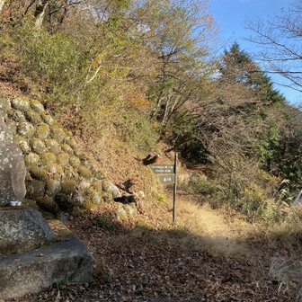 とりあえず柏木林道コースを往復したい走れるトレイル走りたい。