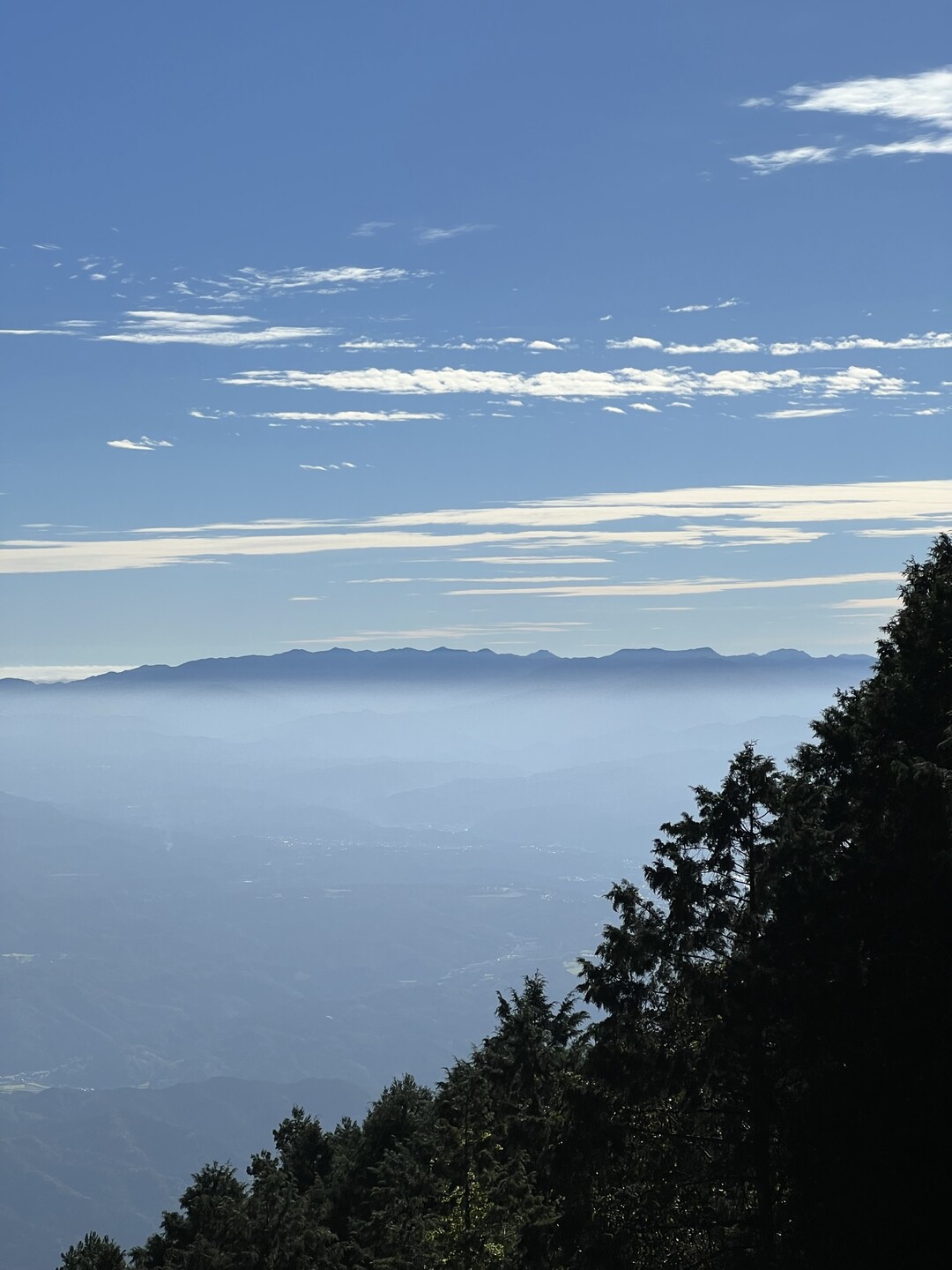 金剛山(ツツジオ谷池の川谷林道) / びりけんさんの金剛山・二上山・大和葛城山の活動データ YAMAP / ヤマップ