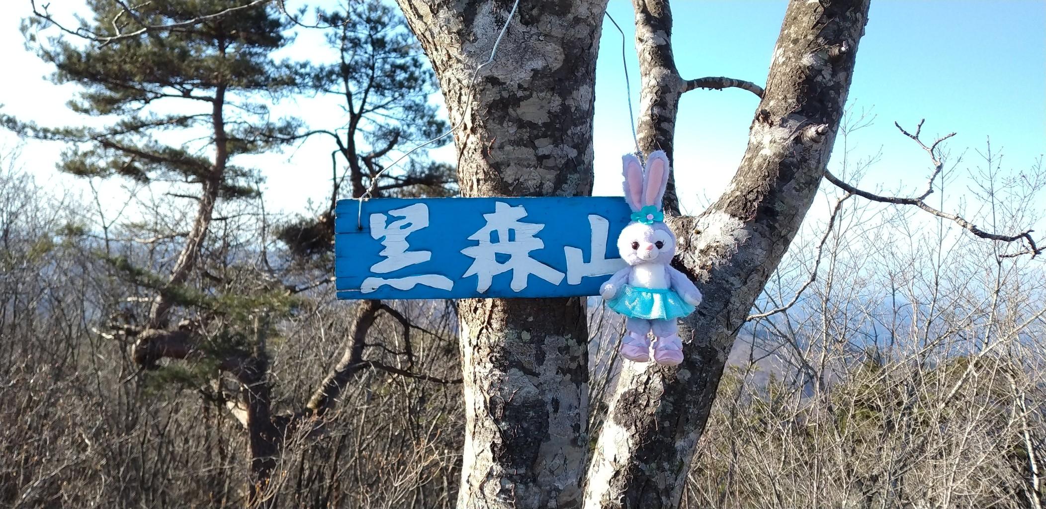 黒森山 / ルパンさんの黒森山・朝島山の活動データ YAMAP / ヤマップ