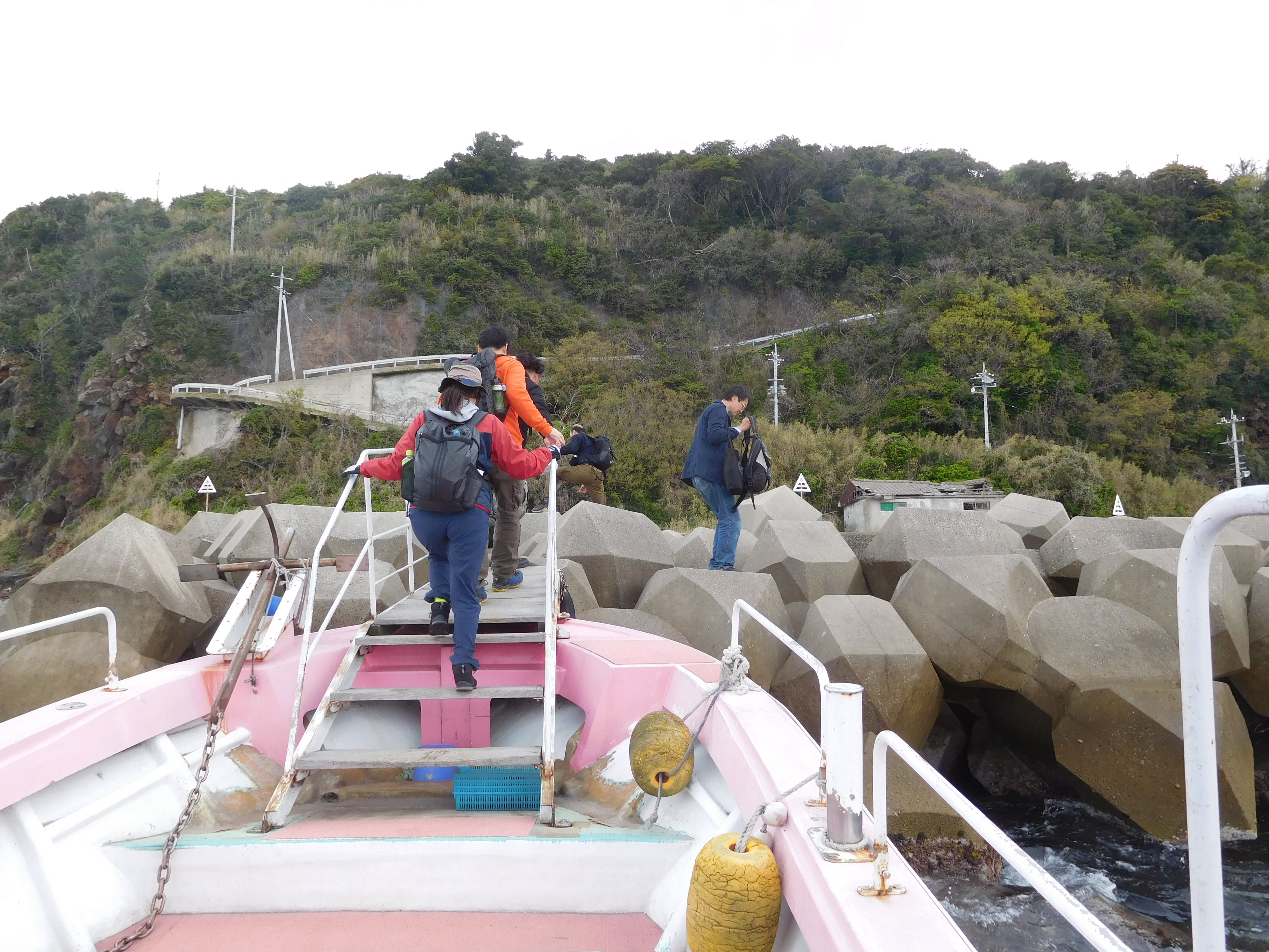 ｓｉｍａｐ かめさんは無人島を開拓できるか かめさんピースさんの萩往還その1 萩市 佐々並市 の活動日記 Yamap ヤマップ