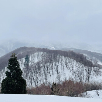 蘇武岳 稜線の向こうに、同じ兵庫100山の妙見山が見えるハズだが、雲の中😓