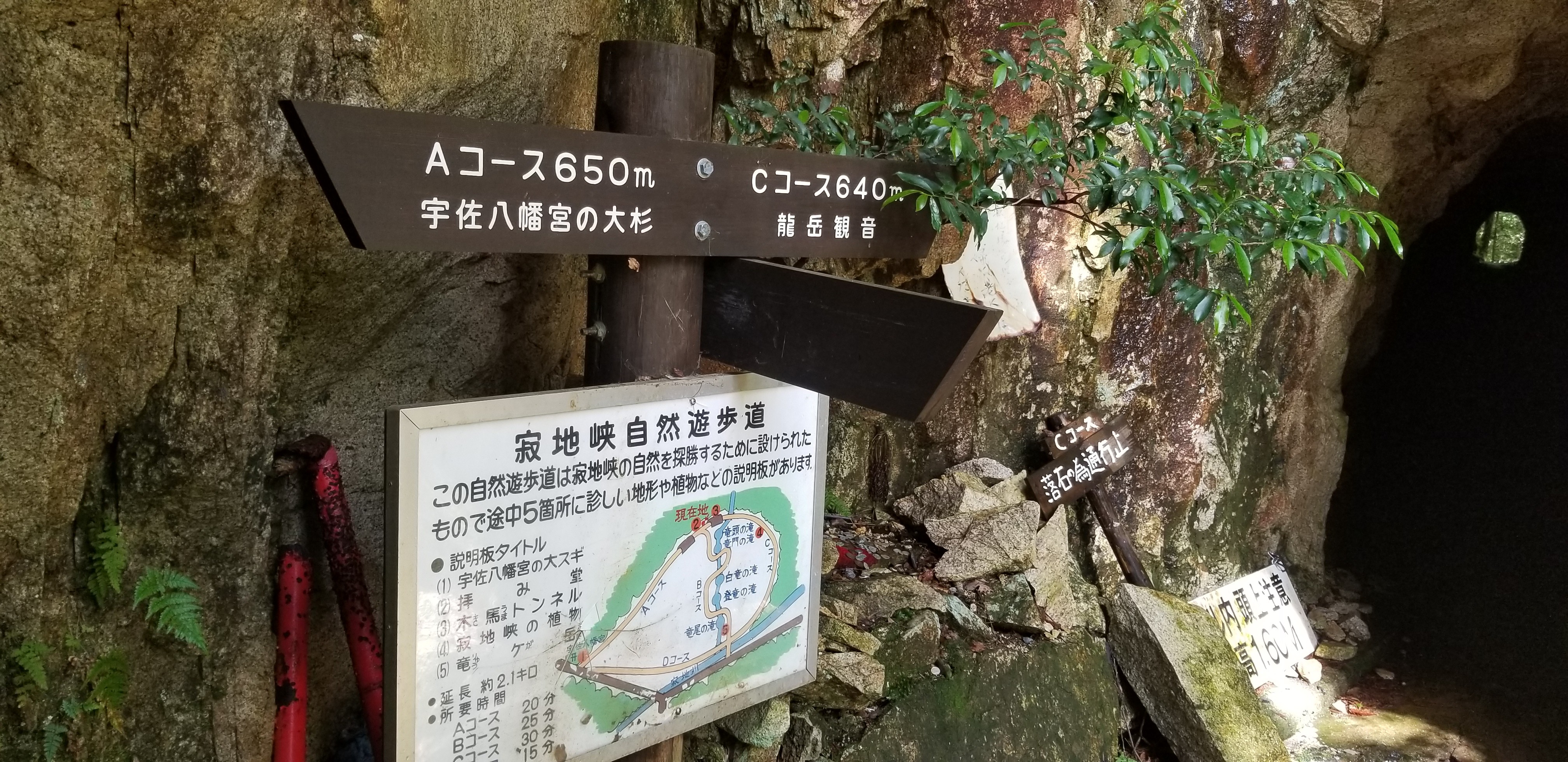 寂地山 寂地狭コース 19 07 15 マコールさんの吉和冠山 安芸冠山 広高山 寂地山の活動日記 Yamap ヤマップ