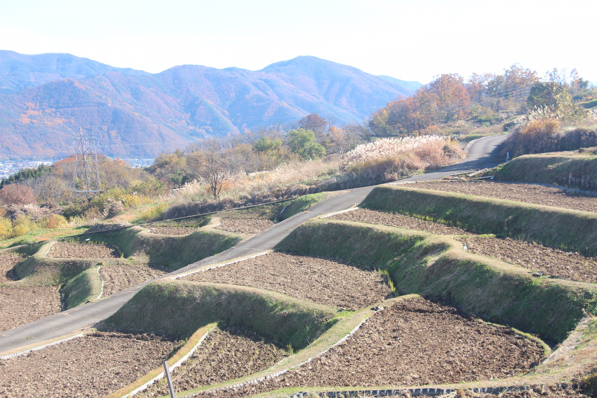 長野姨捨の棚田ハイク 19 11 24 Mimiパパさんの冠着山 姨捨山 の活動データ Yamap ヤマップ