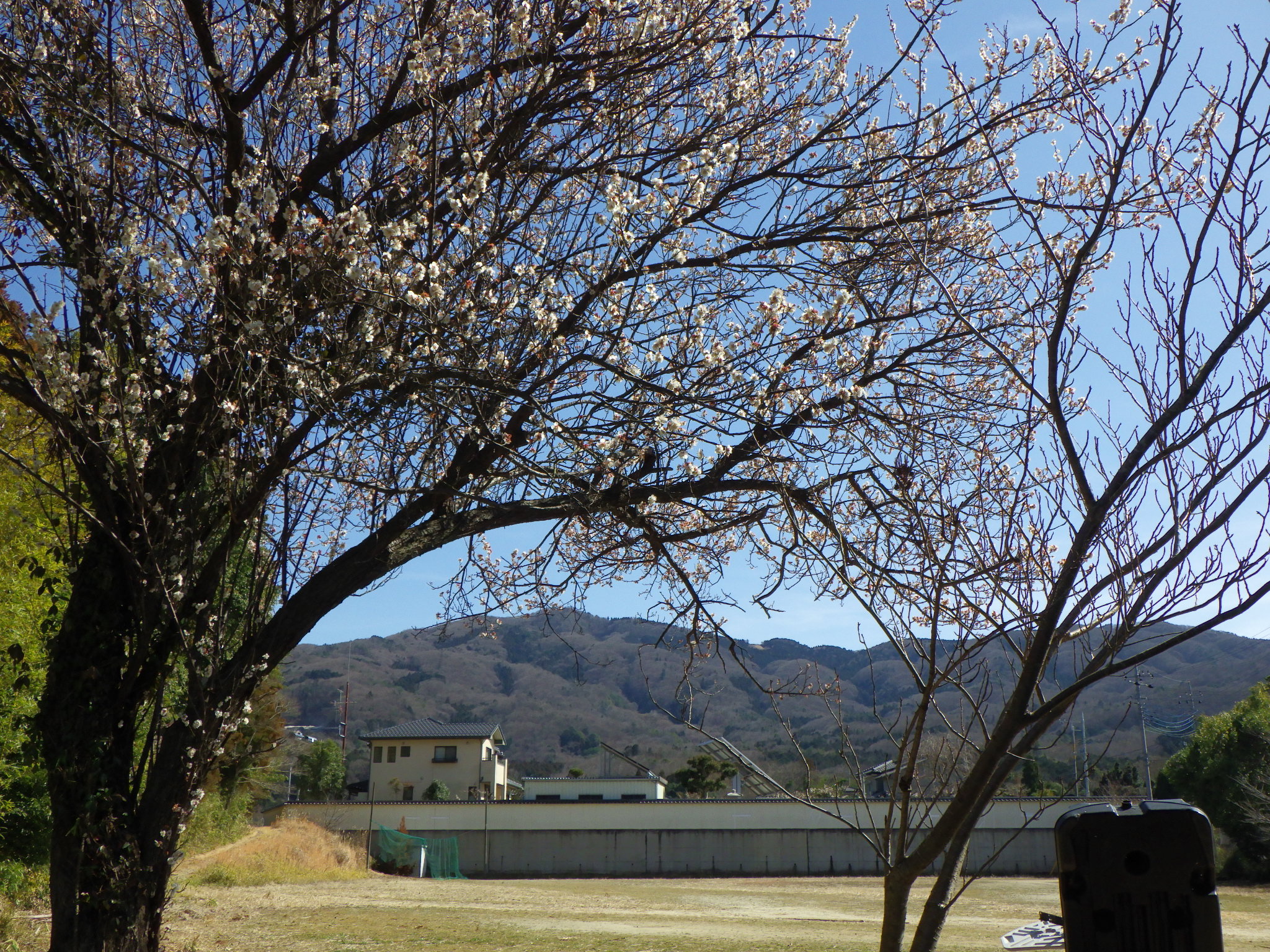 足尾山 きのこ山 真壁休憩所より Tsutomu310さんの加波山 吾国山 難台山の活動データ Yamap ヤマップ