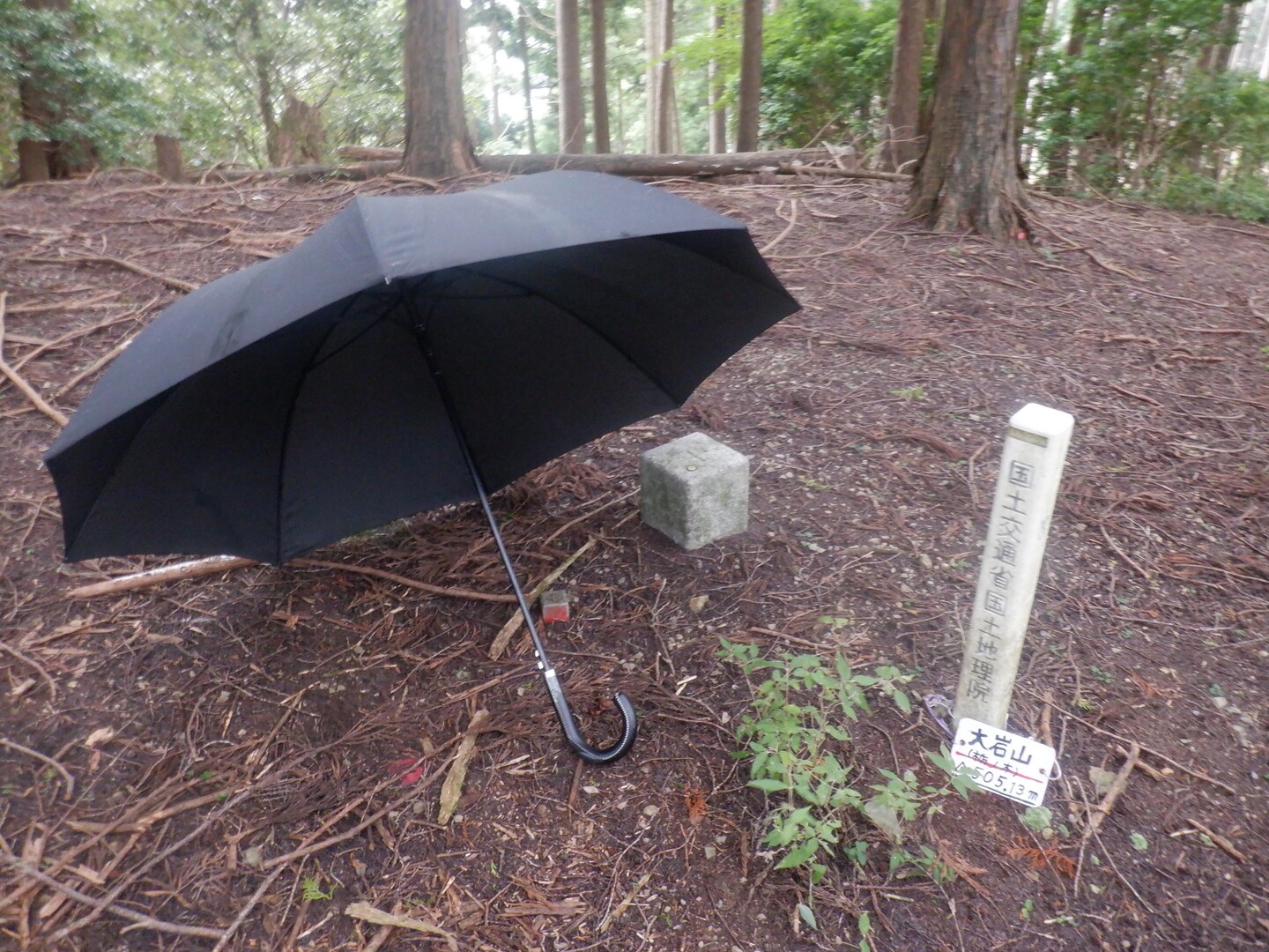 傘を差して３キロを２回、大岩山（栃ノ木）・大岩山東峰・宇賀 / 老いぼれジョガーさんの綿向山の活動データ | YAMAP / ヤマップ