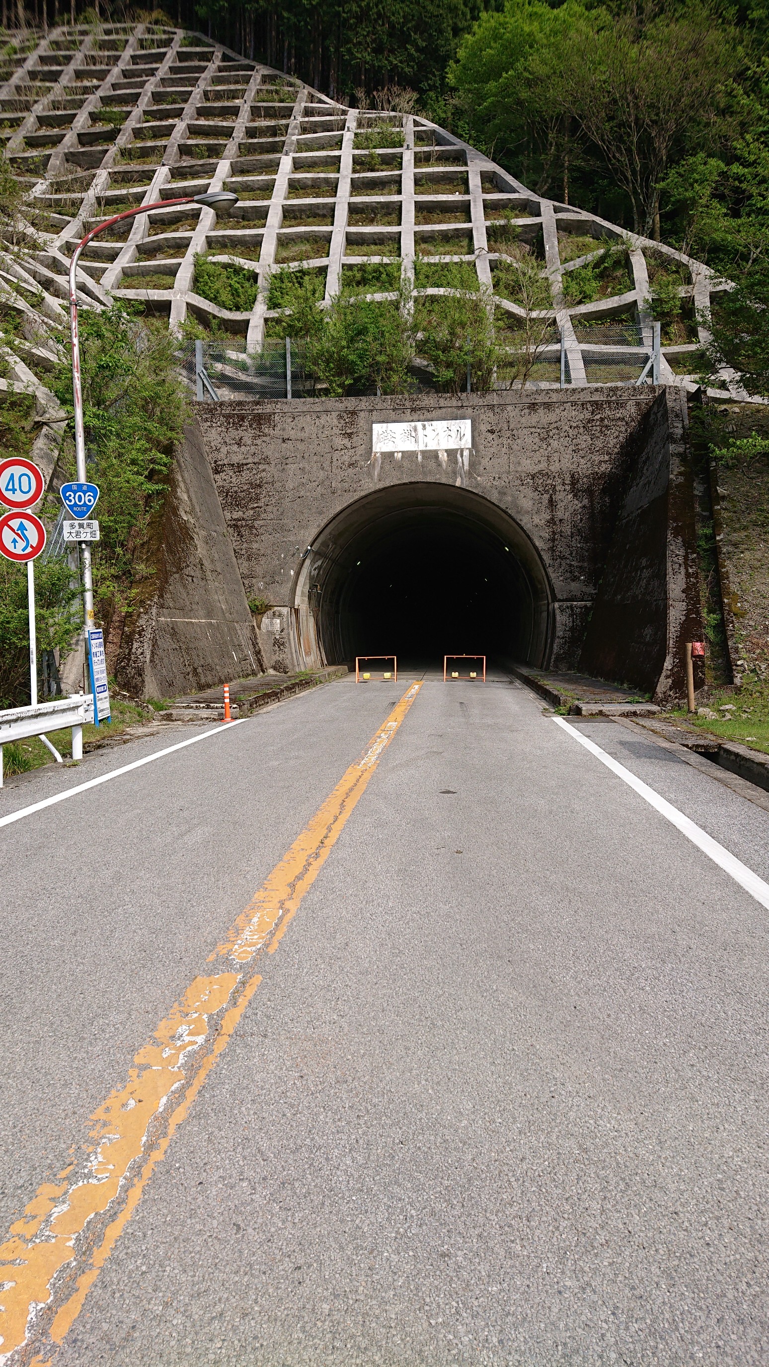 大君ヶ畑から茶野 鈴ヶ岳 鈴北岳 ついでに御池岳の西側を散策 プラスさんの藤原岳 御池岳の活動日記 Yamap ヤマップ