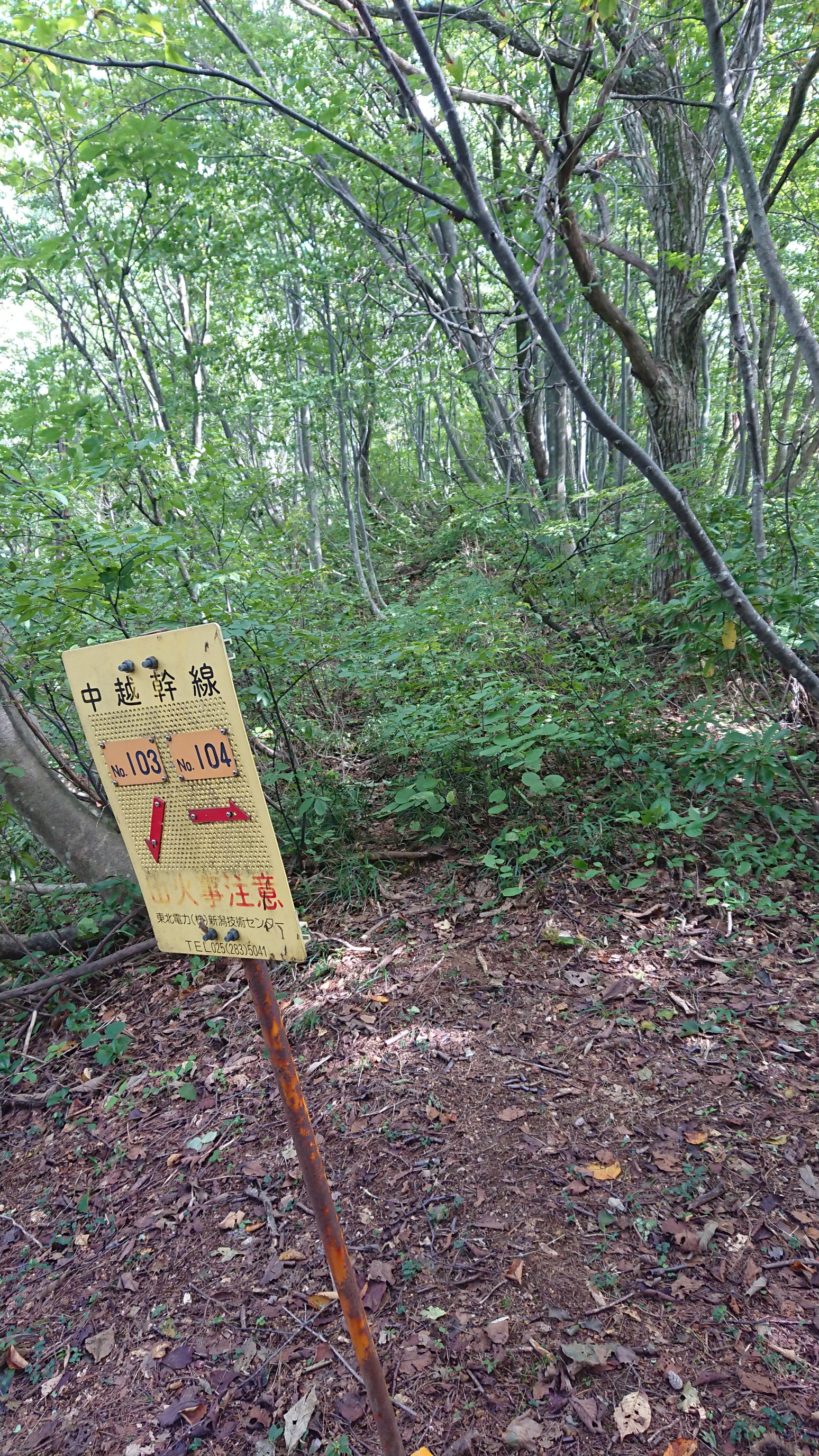 木六山・銀次郎山 ここから普通の山道に(草は結構被ってます)