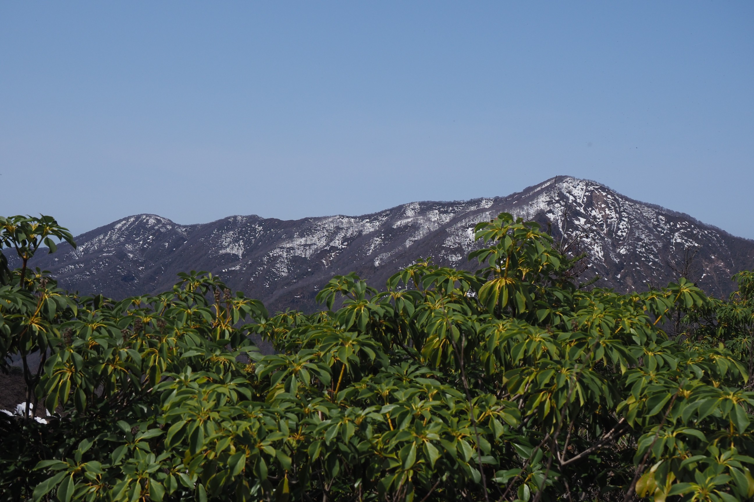 木六山・銀次郎山 ご存知白山 左 宝蔵
見た目夏に近い😄