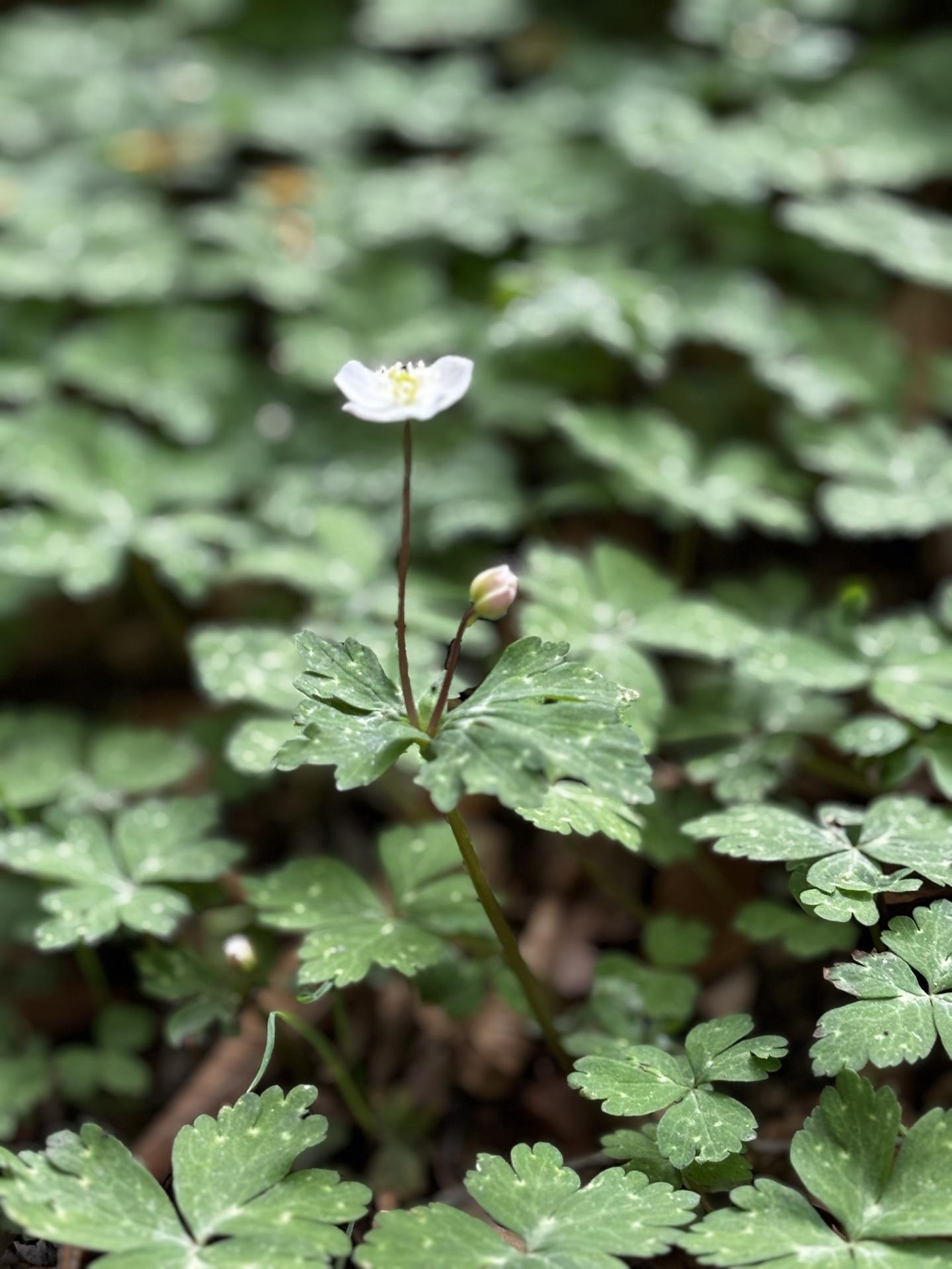 013f85f7-14d9-4025-8e70-