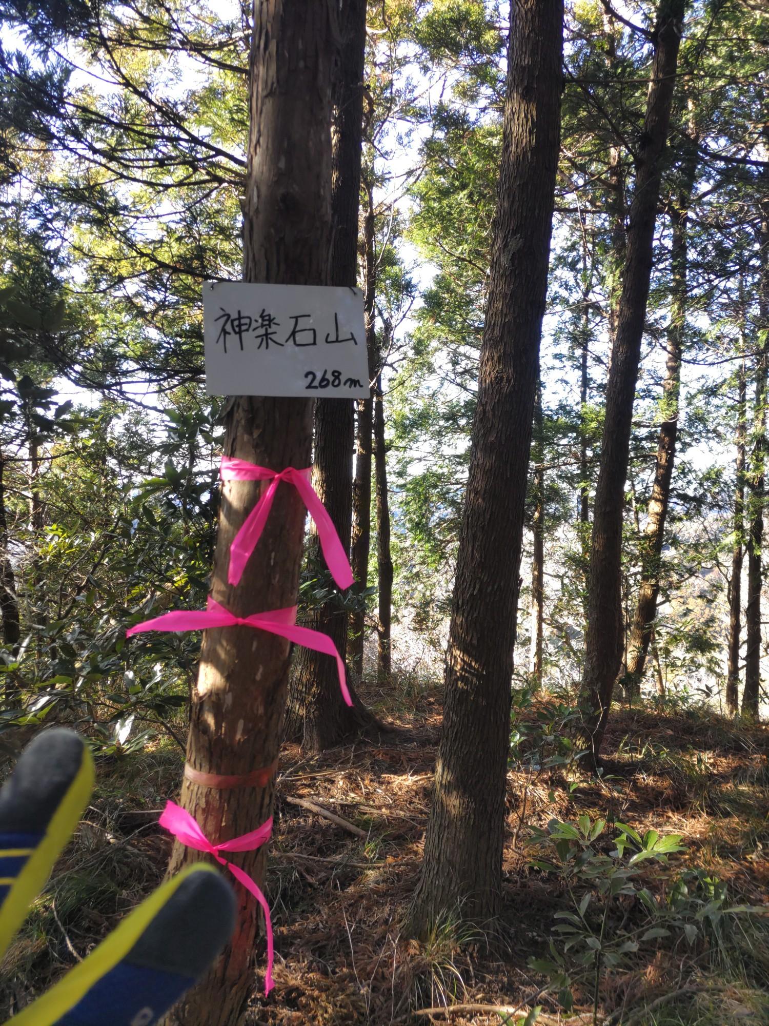 シ*ル様 房総山岳志 Amazon.co.jp: 房総山岳志 : 内田 栄一: 本