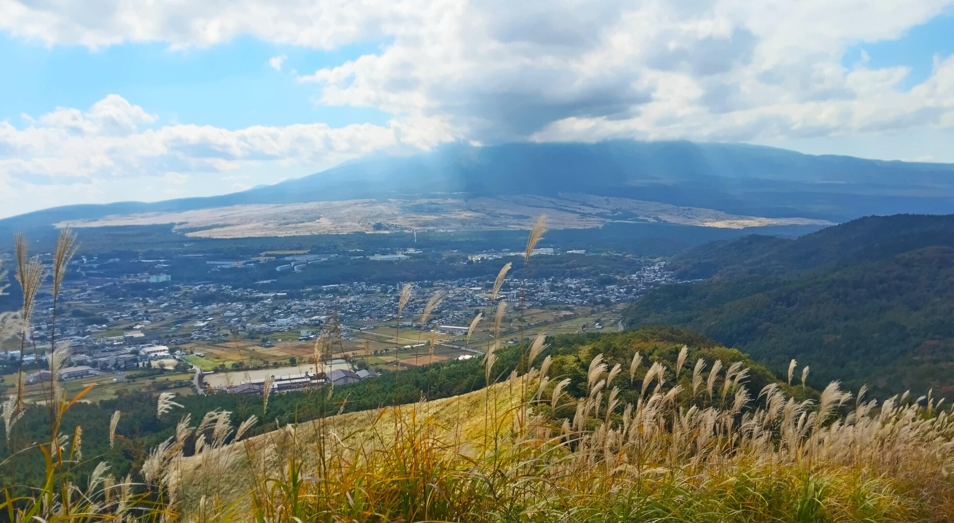 高座山（山梨）～不動湯 秋の花、ムラサ... / たくちゃんさんのモーメント YAMAP / ヤマップ