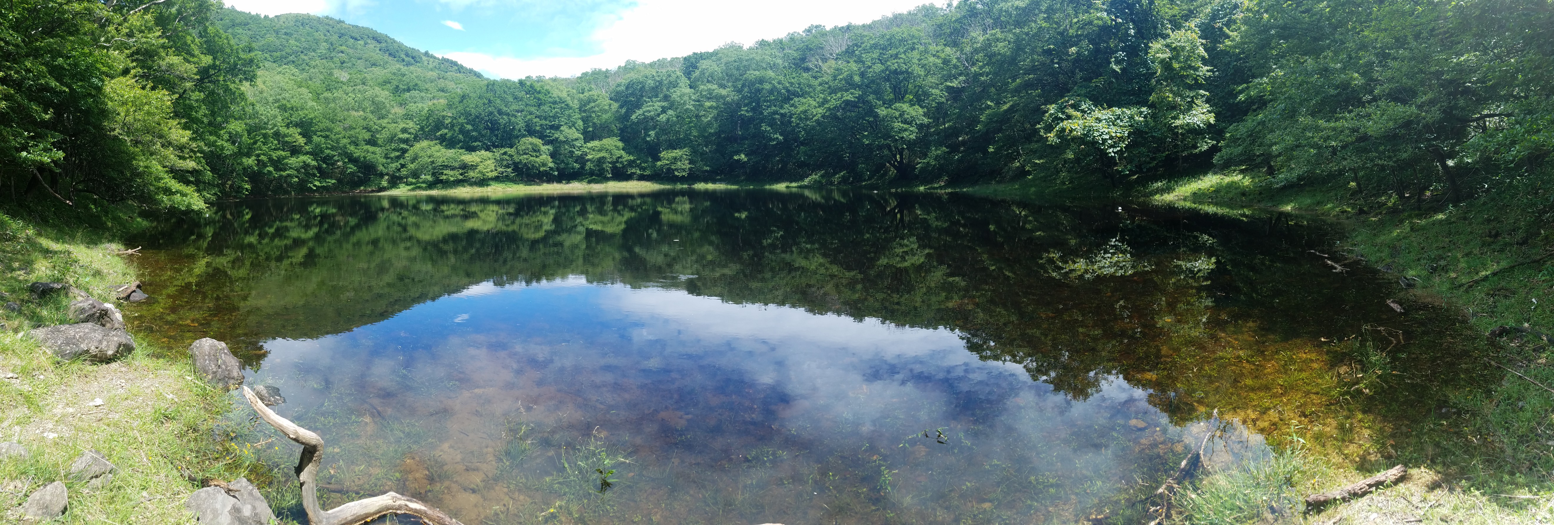 赤城山 幻の湖 血の池 19 07 28 ヨッシーさんのヤマノススメ巡礼マップ 赤城山 地蔵岳 の活動日記 Yamap ヤマップ