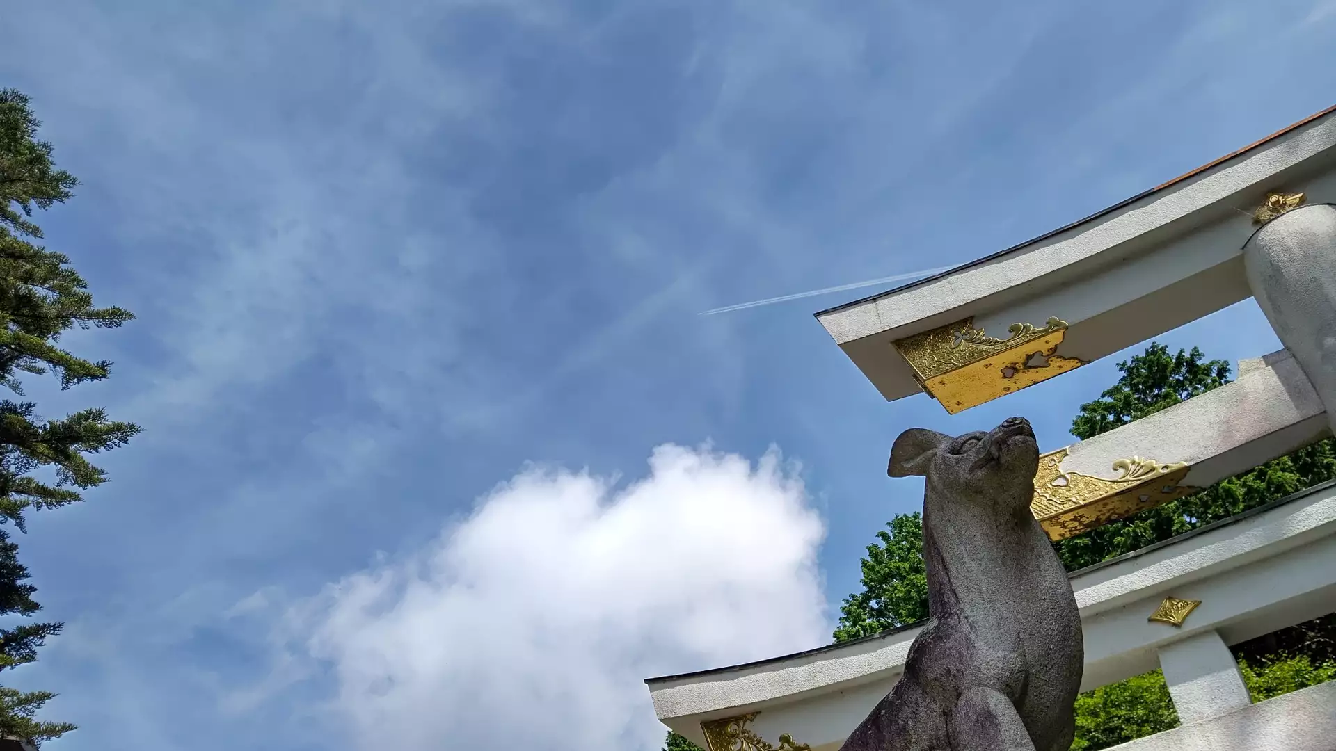 三峯神社 でパワーを頂いて来たよ 副ｷｬﾌﾟﾃﾝhiroshi さんの雲取山 鷹ノ巣山 七ツ石山の活動データ Yamap ヤマップ