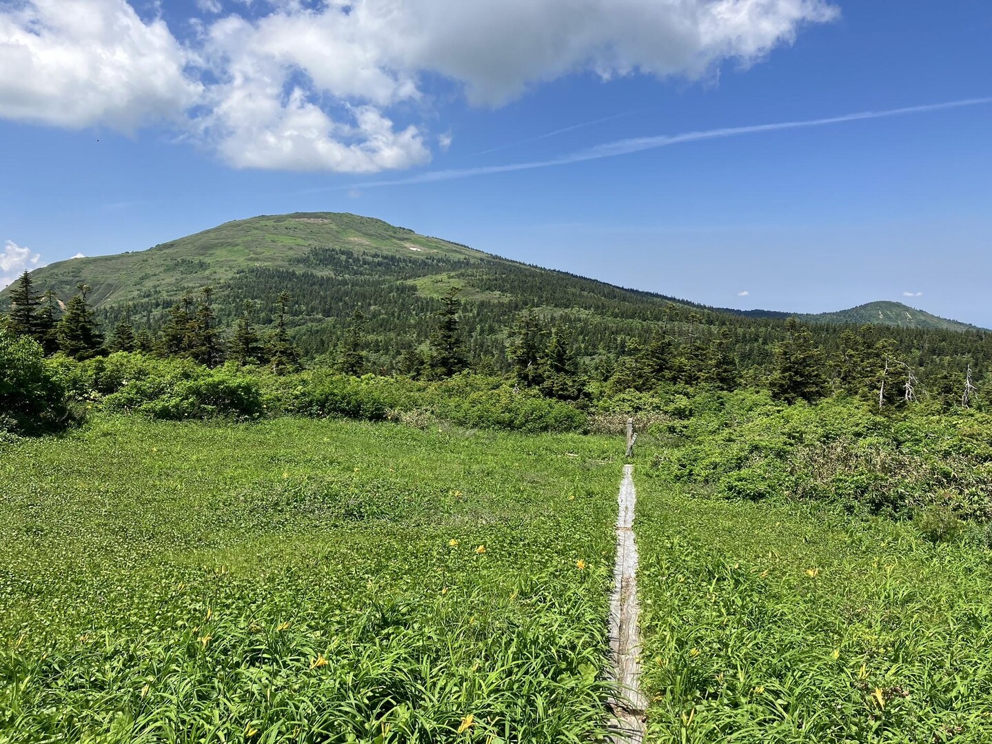 森吉山 / chiyukichiさんの森吉山の活動データ YAMAP / ヤマップ