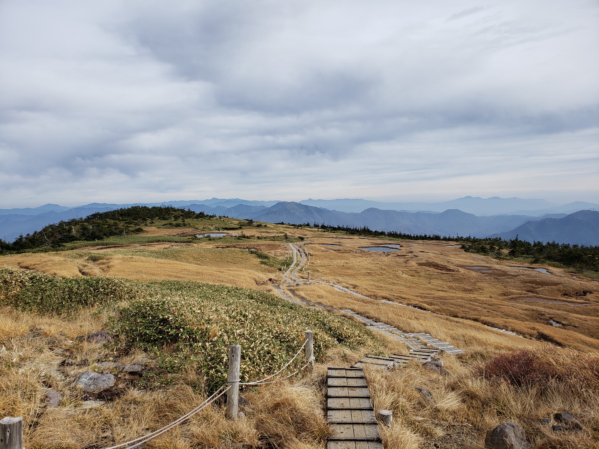 苗場山 ドラゴンドラ 苗場山 赤湯温泉山口館 周回 Hatogayaさんの苗場山 赤倉山 佐武流山の活動データ Yamap ヤマップ