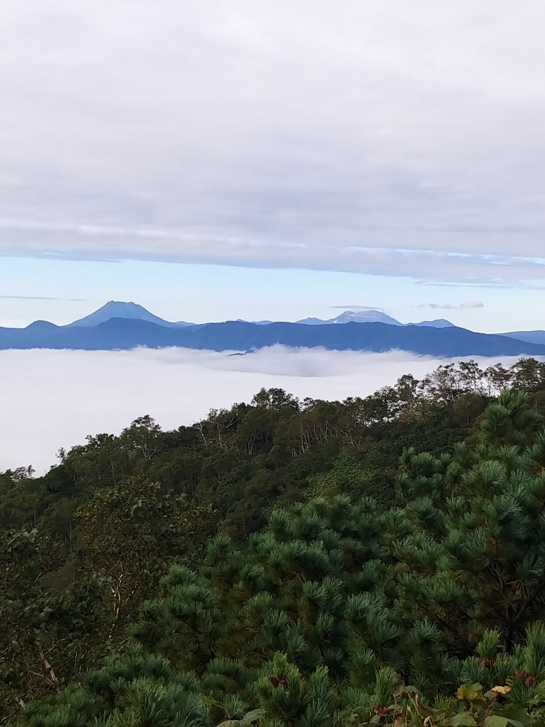 藻琴山 雲海行 09 06 かなけんさんの藻琴山 硫黄山 屈斜路湖 摩周湖の活動データ Yamap ヤマップ
