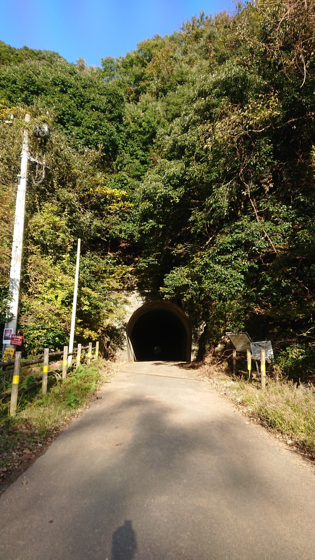 三峰山 神奈川県 19 11 17 げんげんさんの大山の活動日記 Yamap ヤマップ
