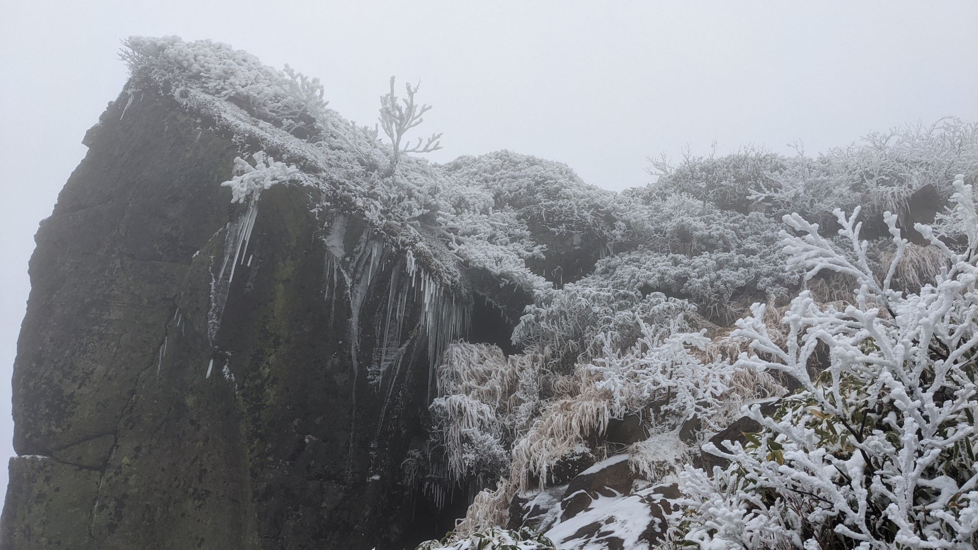 燧ヶ岳 柴安嵓 俎嵓 Celorinさんの尾瀬 燧ヶ岳の活動データ Yamap ヤマップ