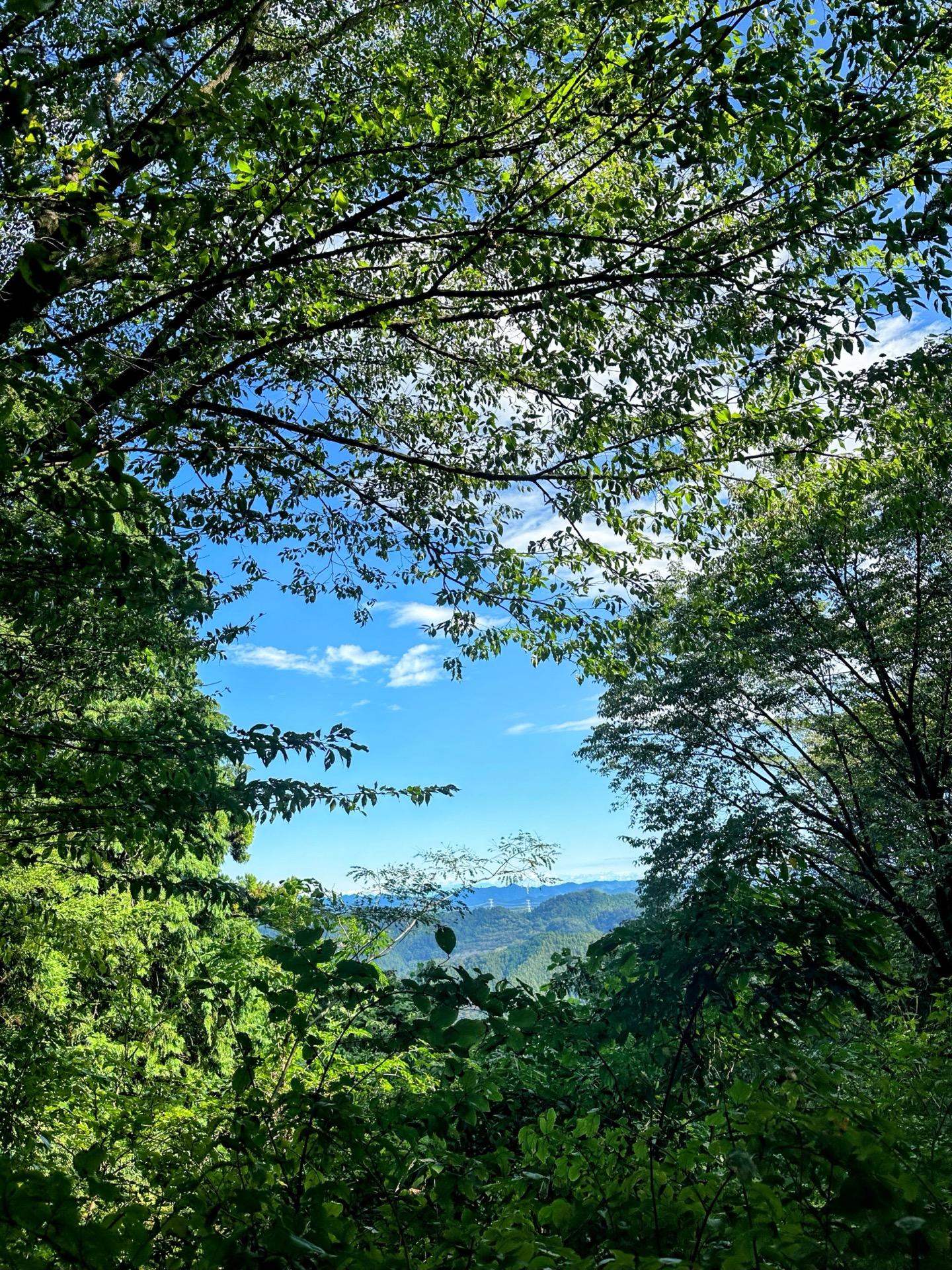 稲垣伯堂 画 「山」 稲垣 伯堂 画伯絵 - メルカリ