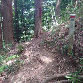 ただの斜面に三角点